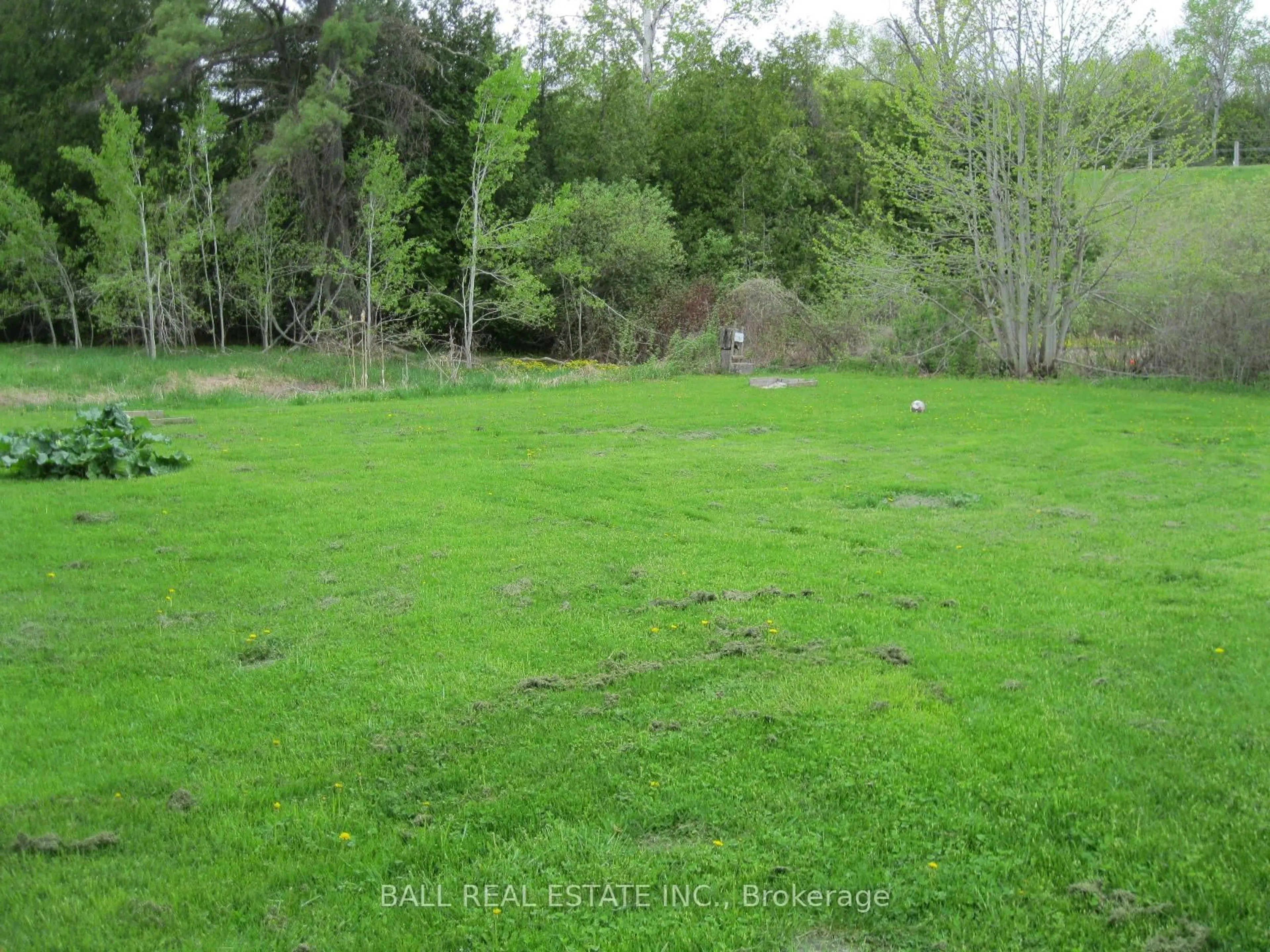 A pic from outside/outdoor area/front of a property/back of a property/a pic from drone, forest/trees view for 26 Beamish Rd, Trent Hills Ontario K0L 1Y0