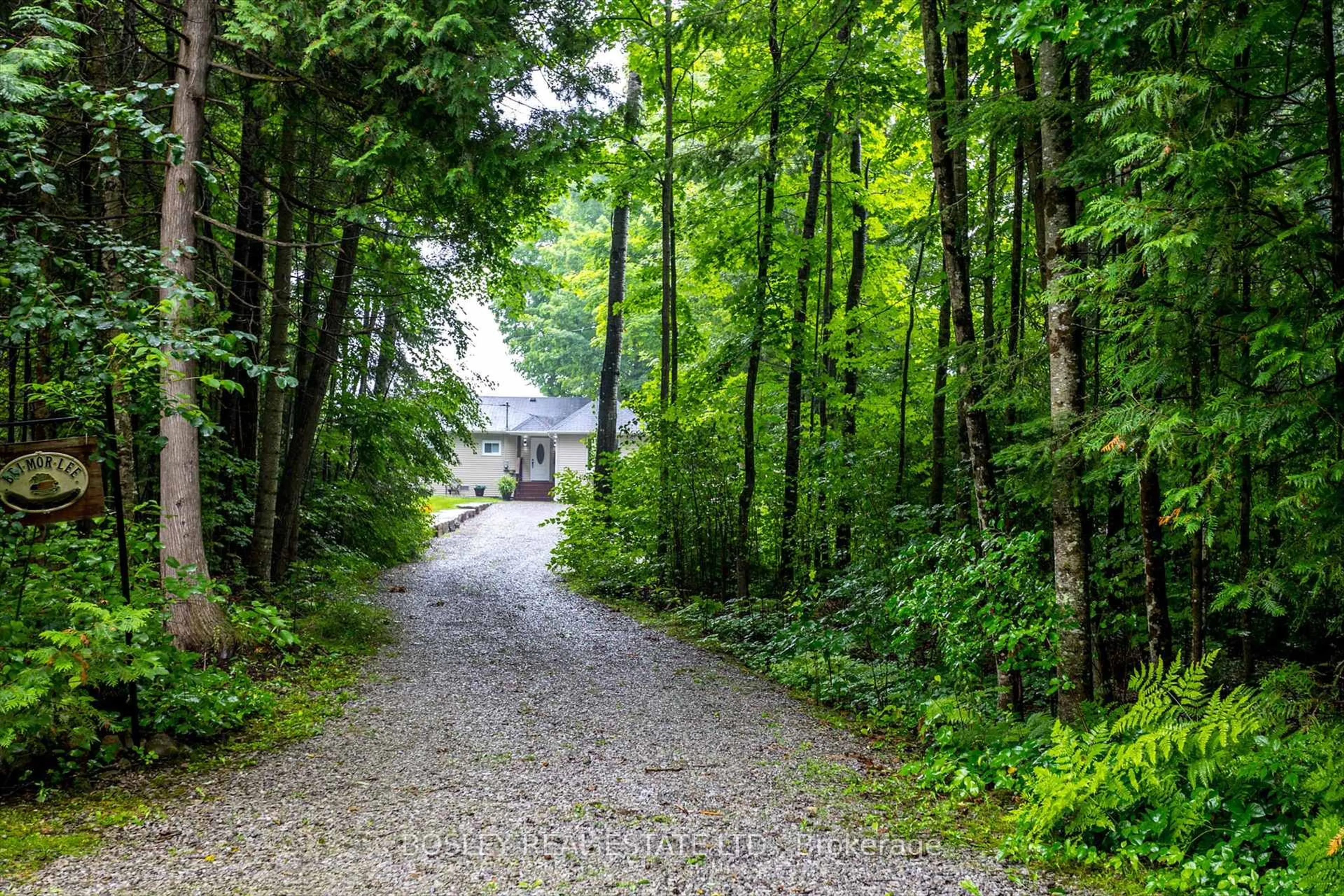 Patio, forest/trees view for 146 Lakeland Rd, Kawartha Lakes Ontario K0M 1A0
