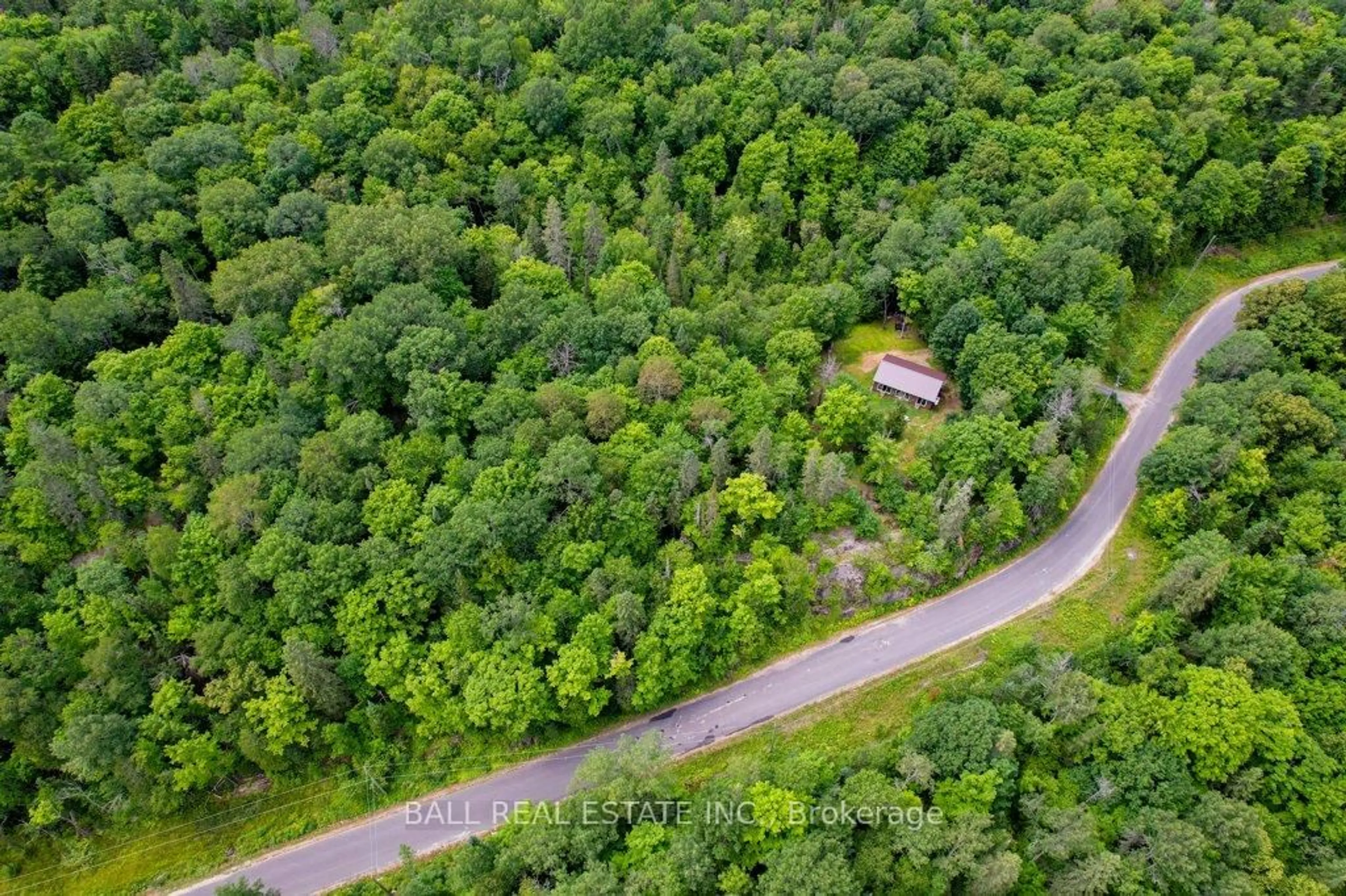 A pic from outside/outdoor area/front of a property/back of a property/a pic from drone, forest/trees view for 1794 Hadlington Rd, Highlands East Ontario K0L 2Y0