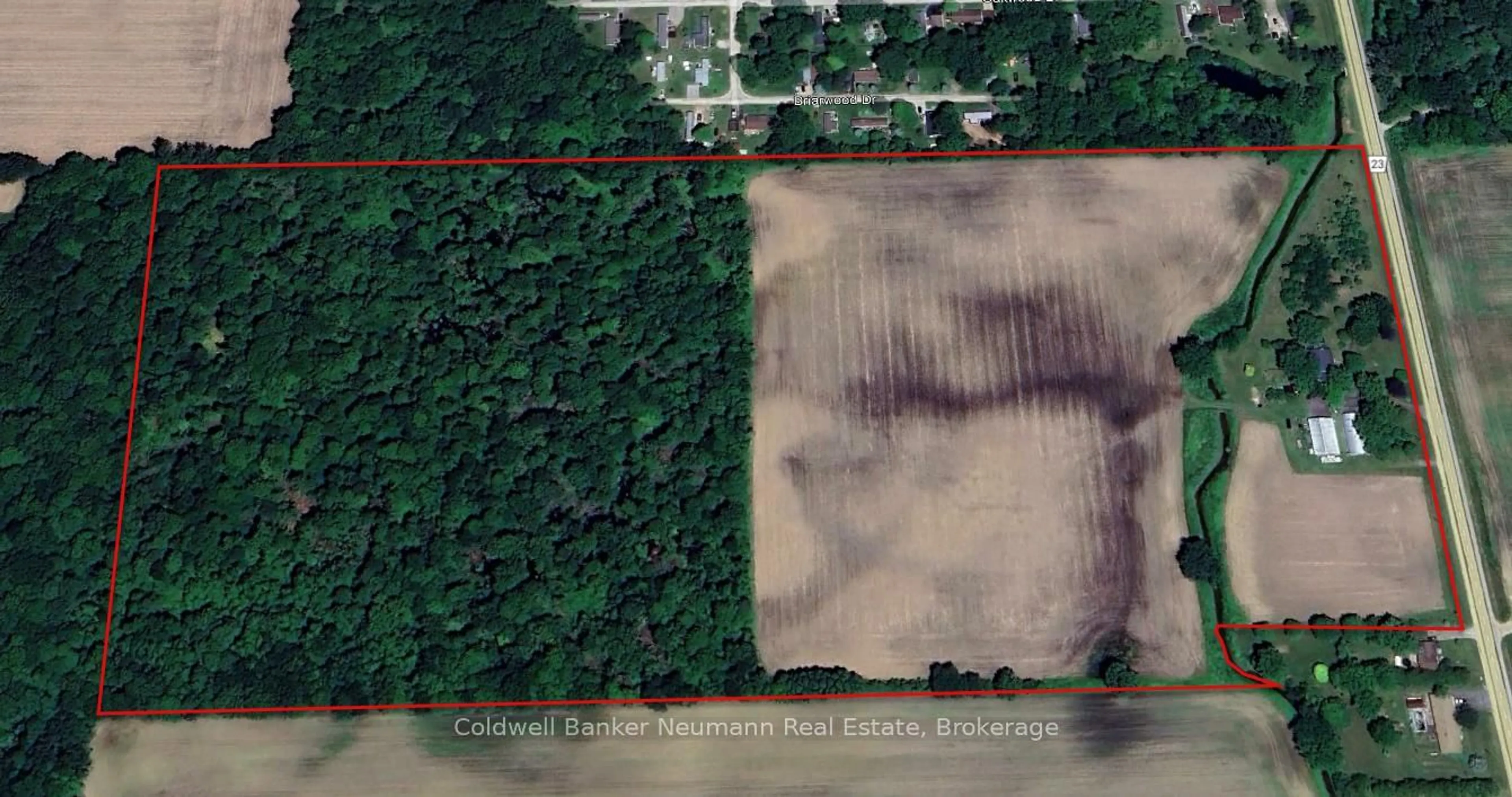 A pic from outside/outdoor area/front of a property/back of a property/a pic from drone, forest/trees view for 29284 Jane Rd, Chatham-Kent Ontario N0P 2K0