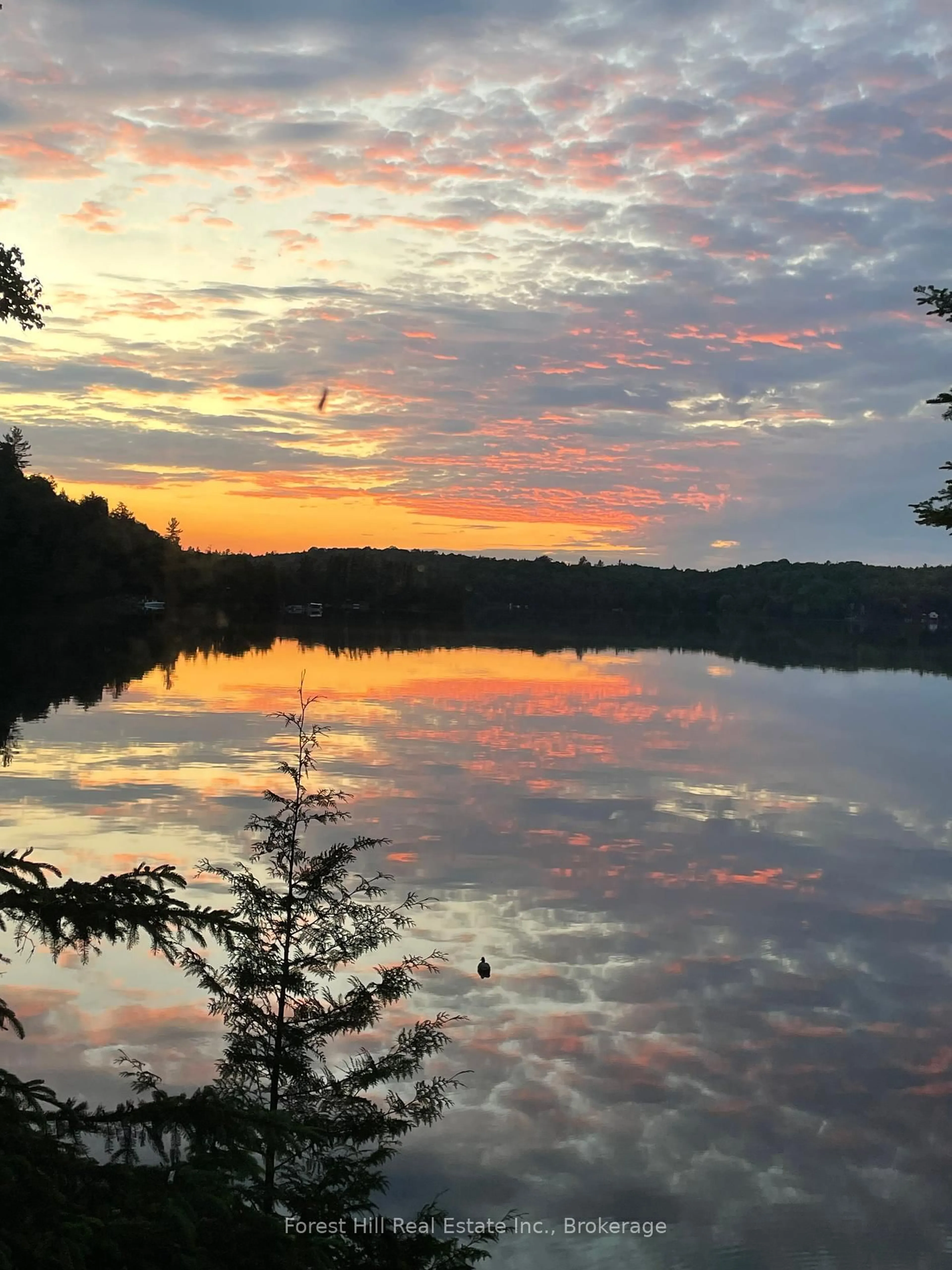 Blurry image for 27509 Minden Point Tr, Algonquin Highlands Ontario P0A 1E0