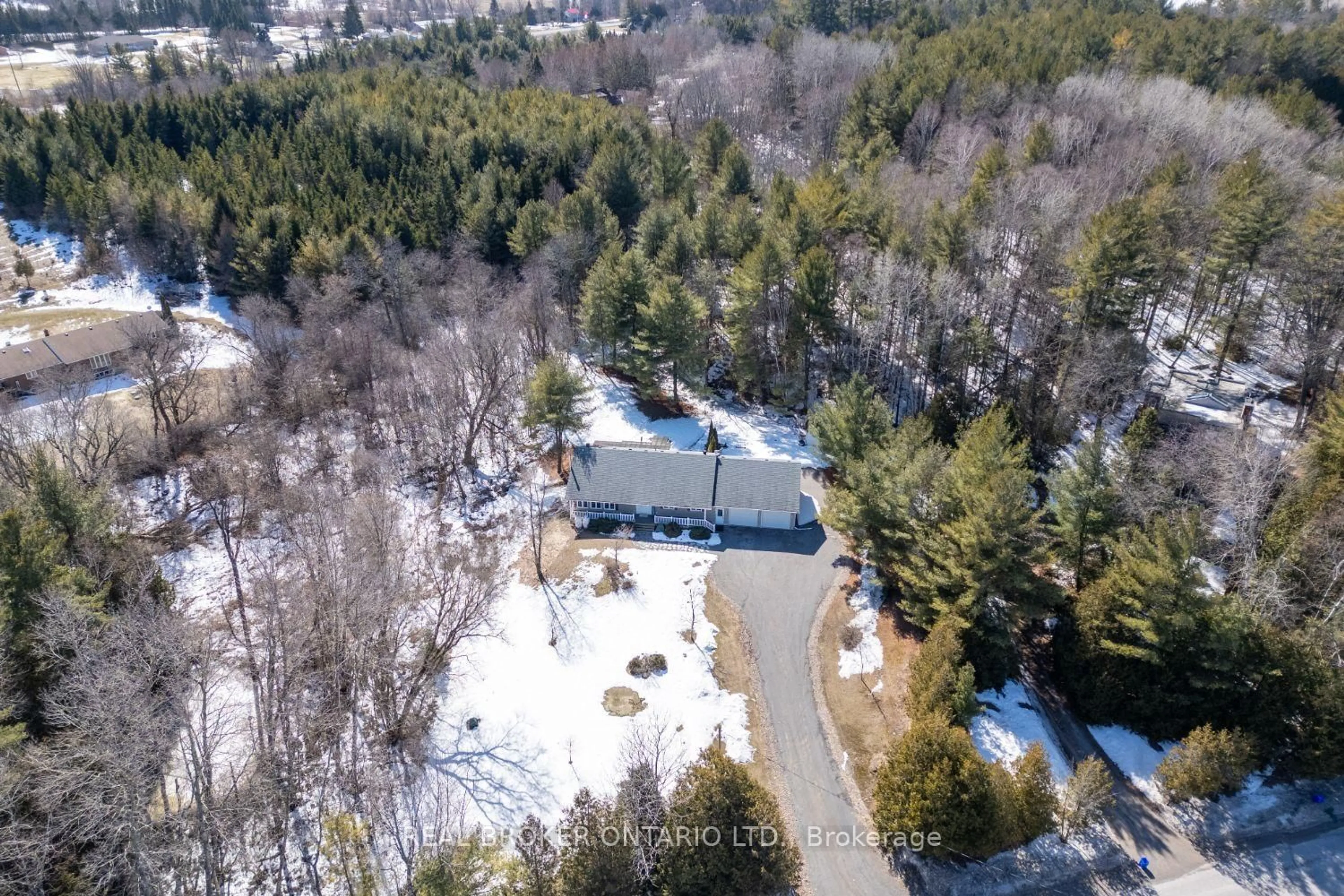 A pic from outside/outdoor area/front of a property/back of a property/a pic from drone, forest/trees view for 7295 Cavan Rd, Hamilton Township Ontario K0L 1E0