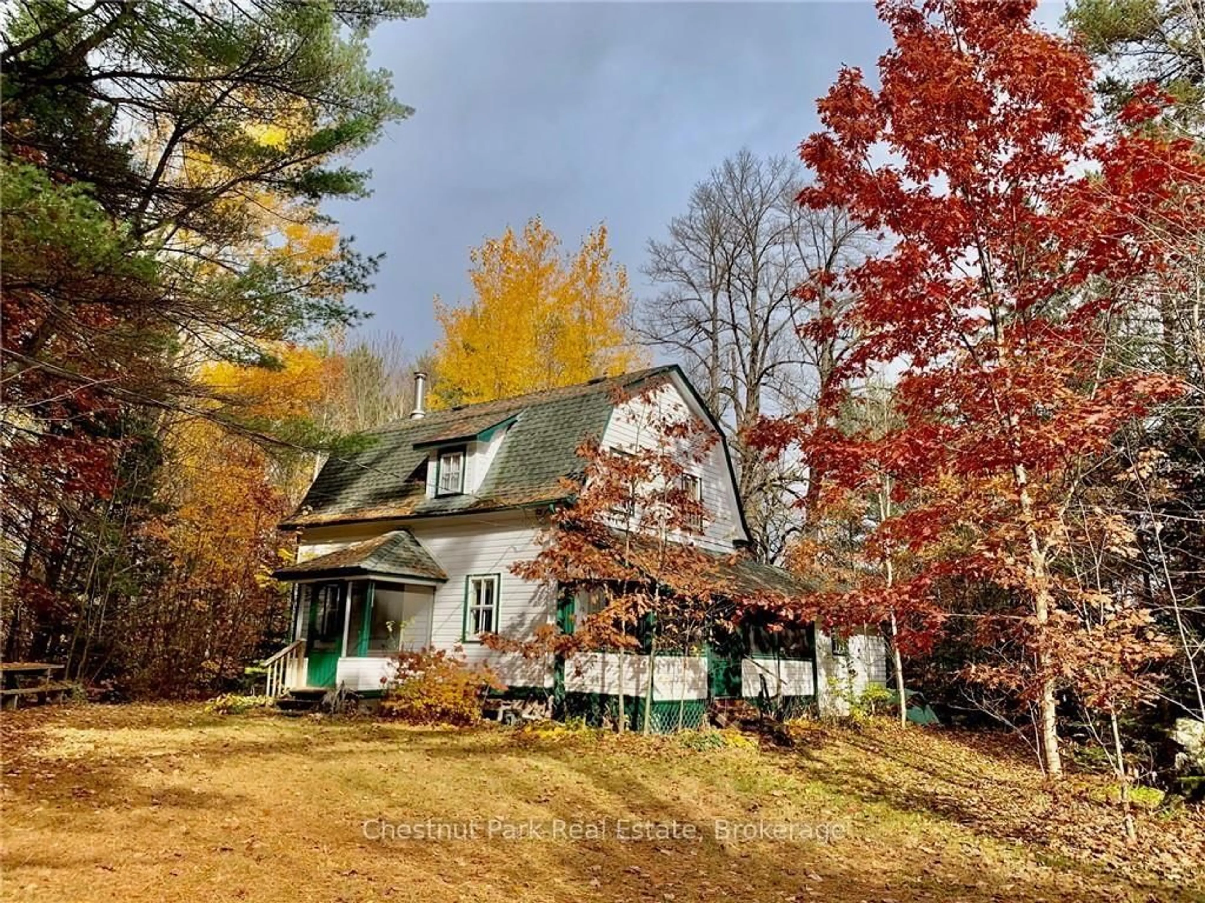 A pic from outside/outdoor area/front of a property/back of a property/a pic from drone, forest/trees view for 1627 HOUSEYS RAPIDS Rd, Gravenhurst Ontario P1P 1R3