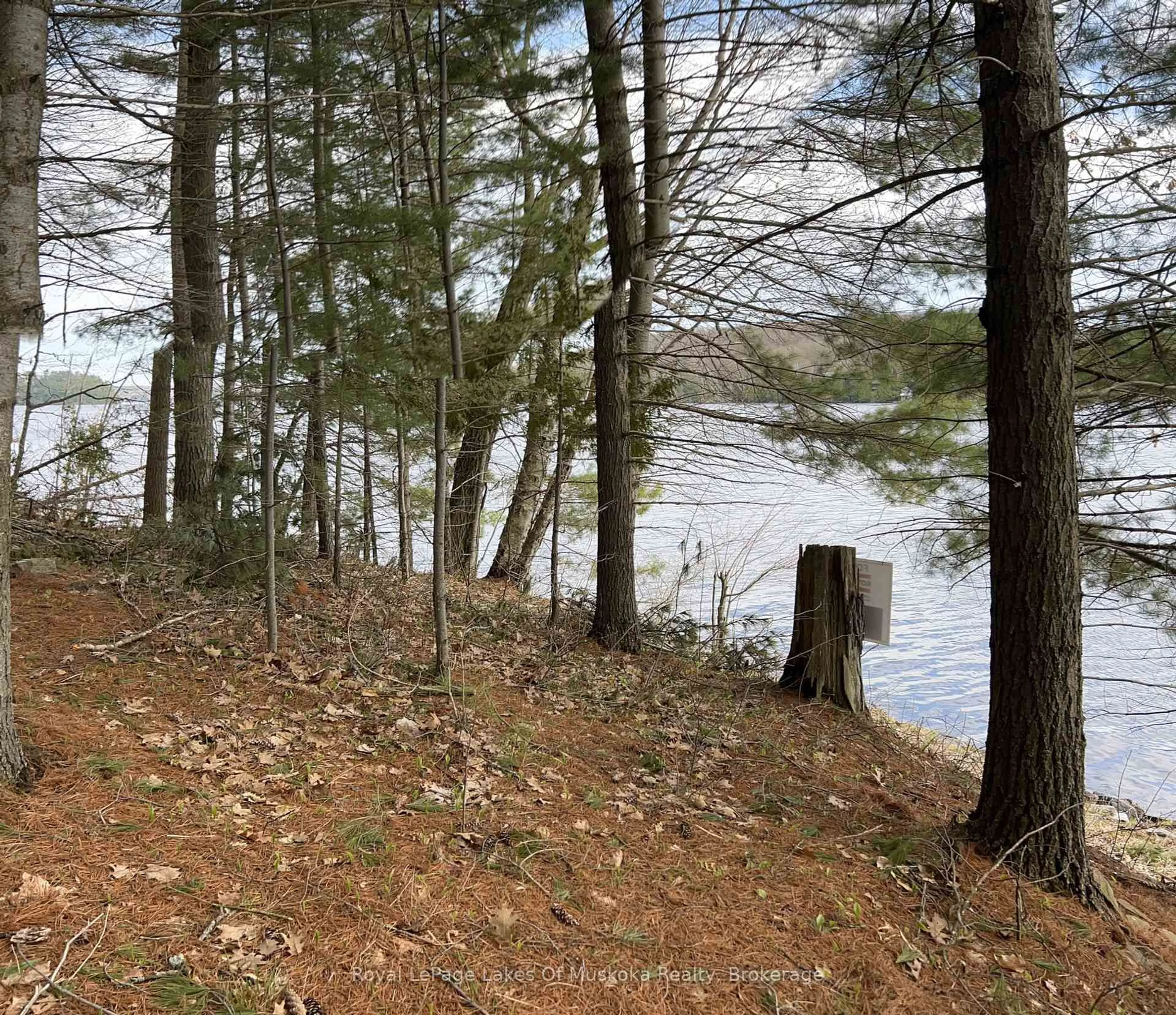 Blurry image for 1188 Sandwood Rd #5, Muskoka Lakes Ontario P0B 1M0