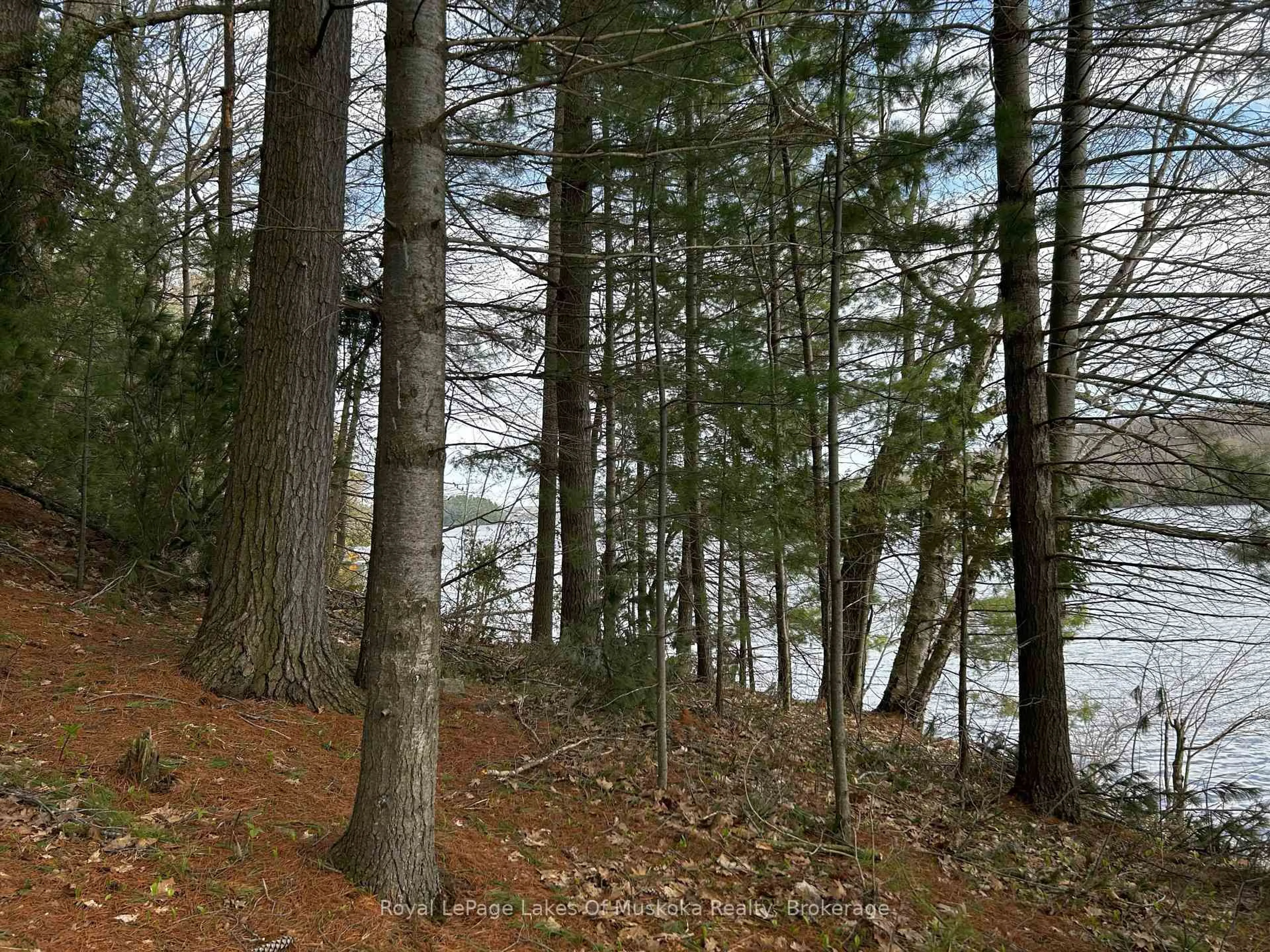 Blurry image for 1188 Sandwood Rd #5, Muskoka Lakes Ontario P0B 1M0