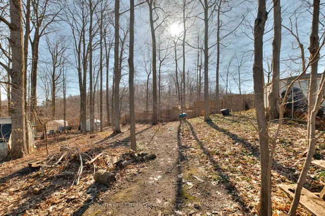 Additional property image - 223 Southwood Dr