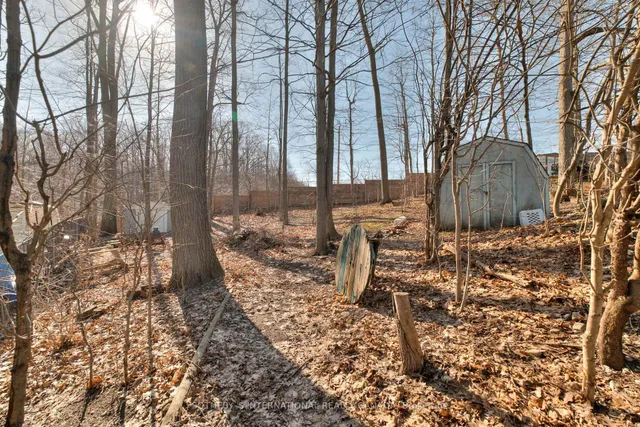 Additional property image - 223 Southwood Dr