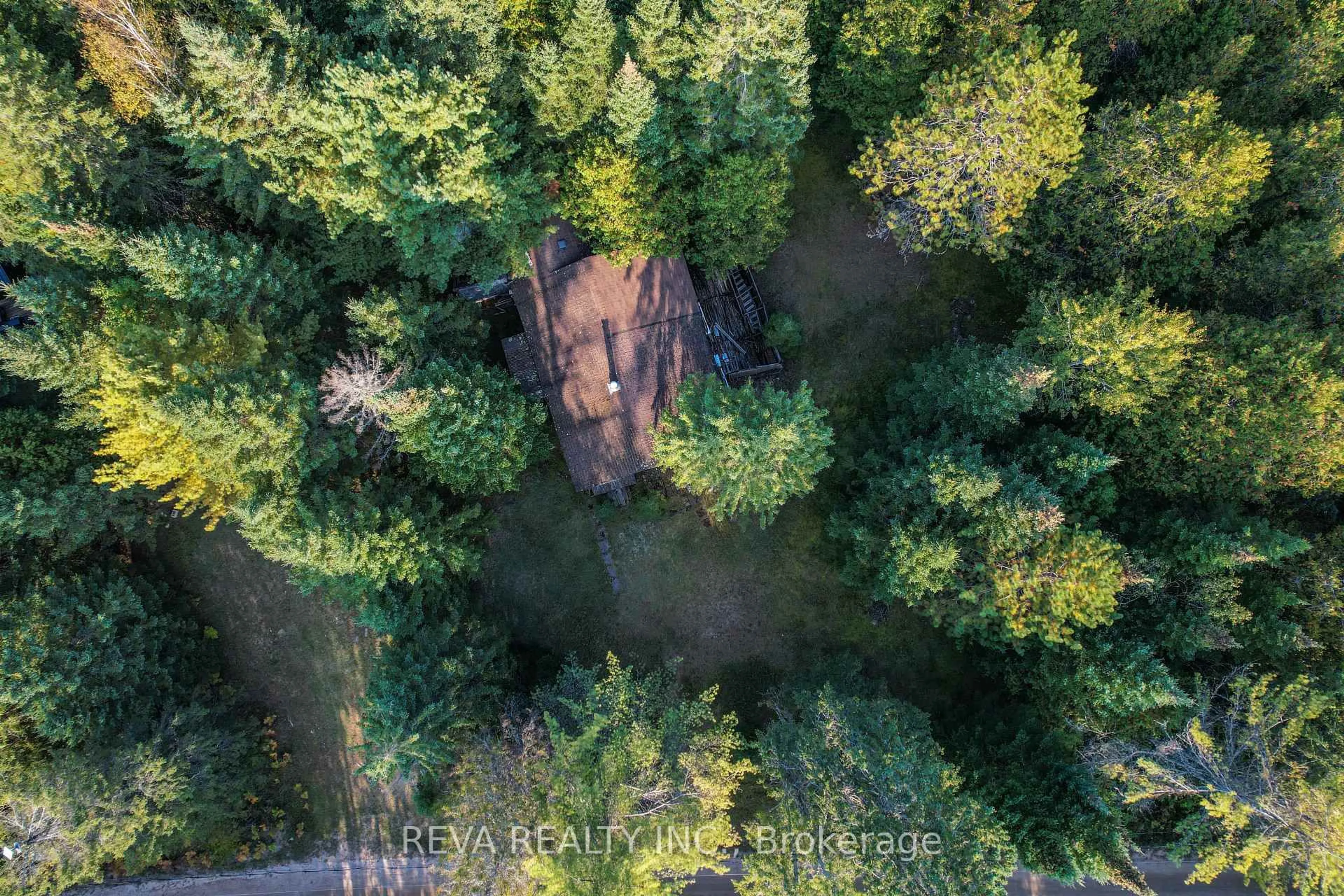 A pic from outside/outdoor area/front of a property/back of a property/a pic from drone, forest/trees view for 267 Bradshaw Rd, Bancroft Ontario K0L 1C0