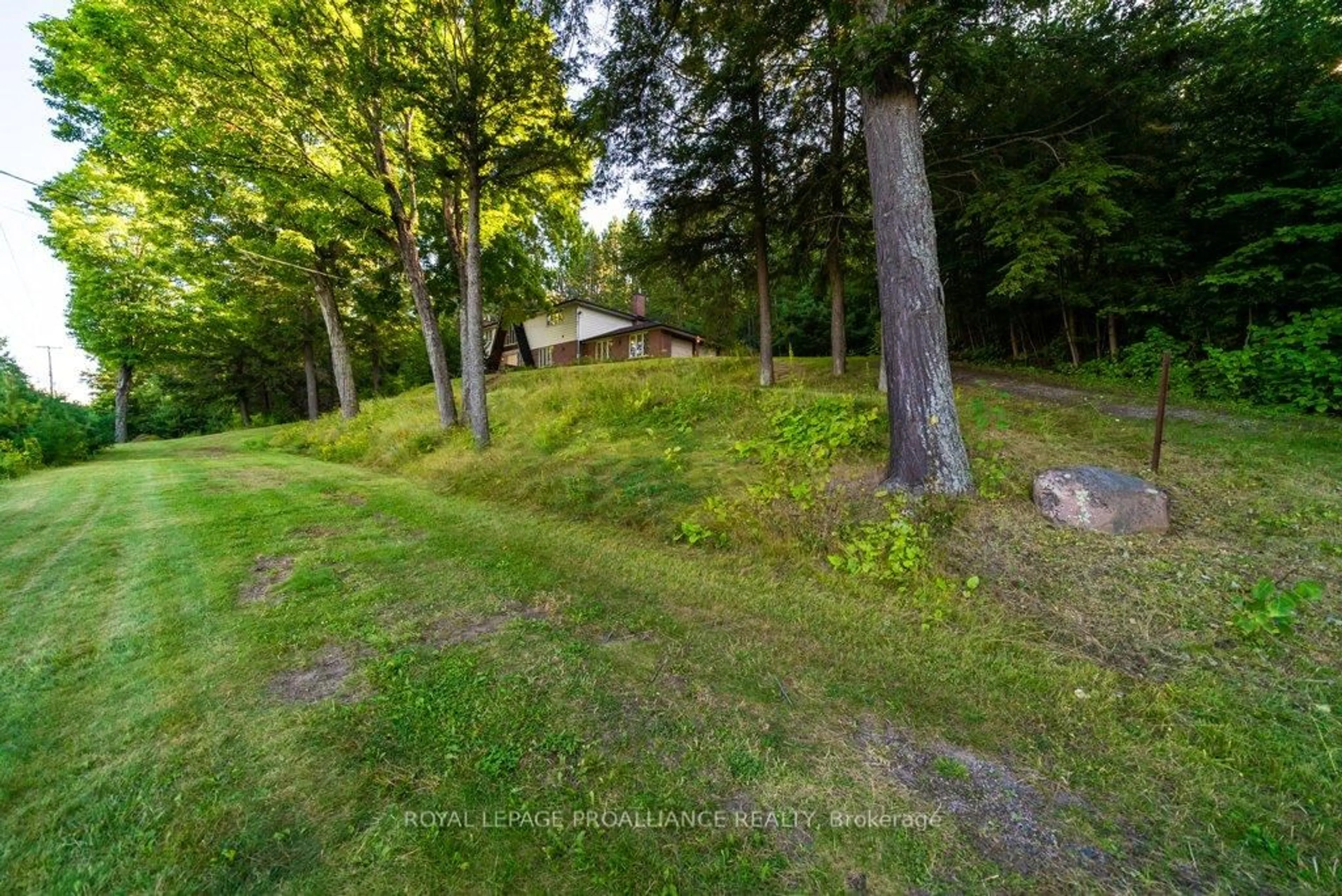 A pic from outside/outdoor area/front of a property/back of a property/a pic from drone, forest/trees view for 17100 Highway 41 N/A, Cloyne Ontario K0H 1K0