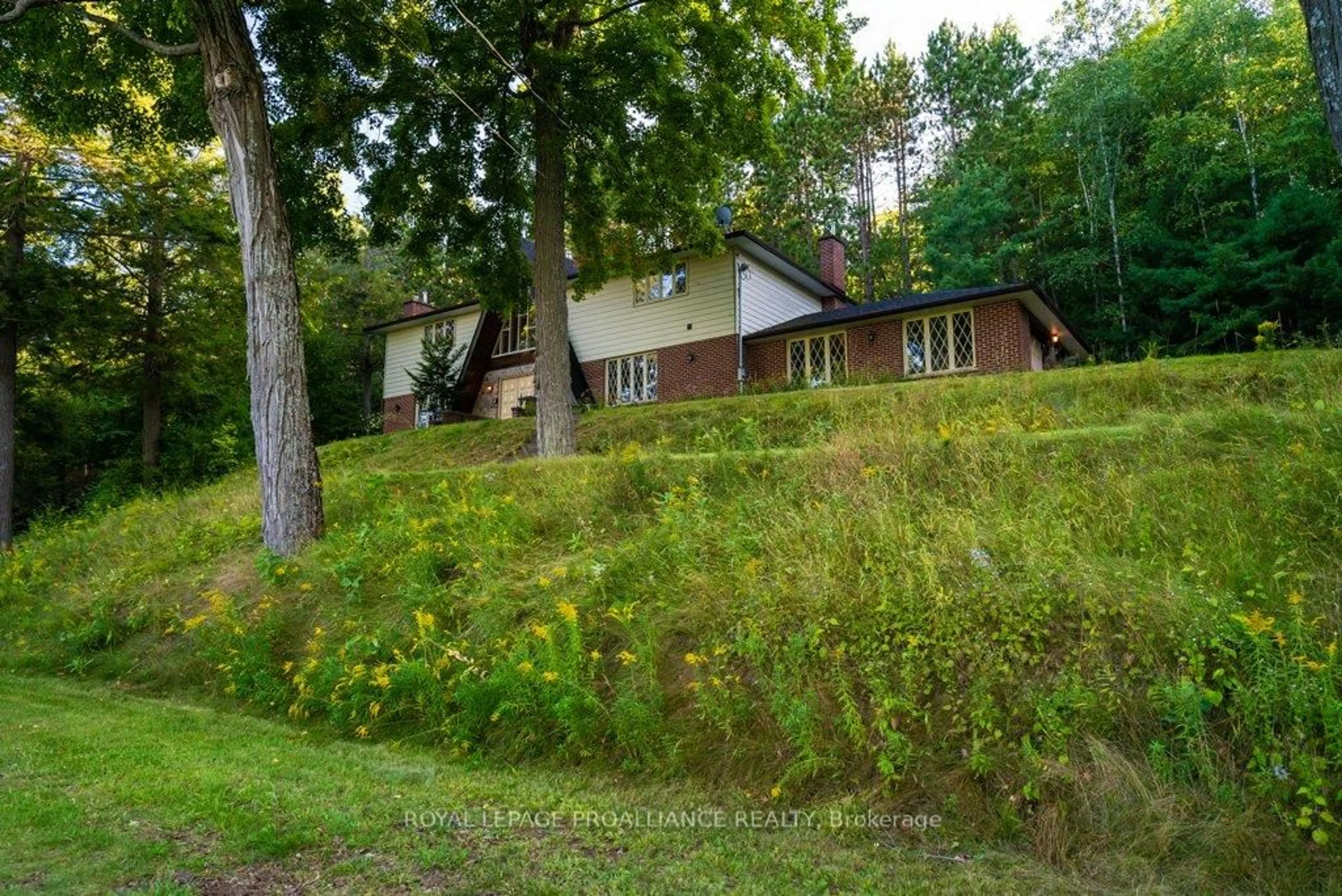 A pic from outside/outdoor area/front of a property/back of a property/a pic from drone, forest/trees view for 17100 Highway 41 N/A, Cloyne Ontario K0H 1K0