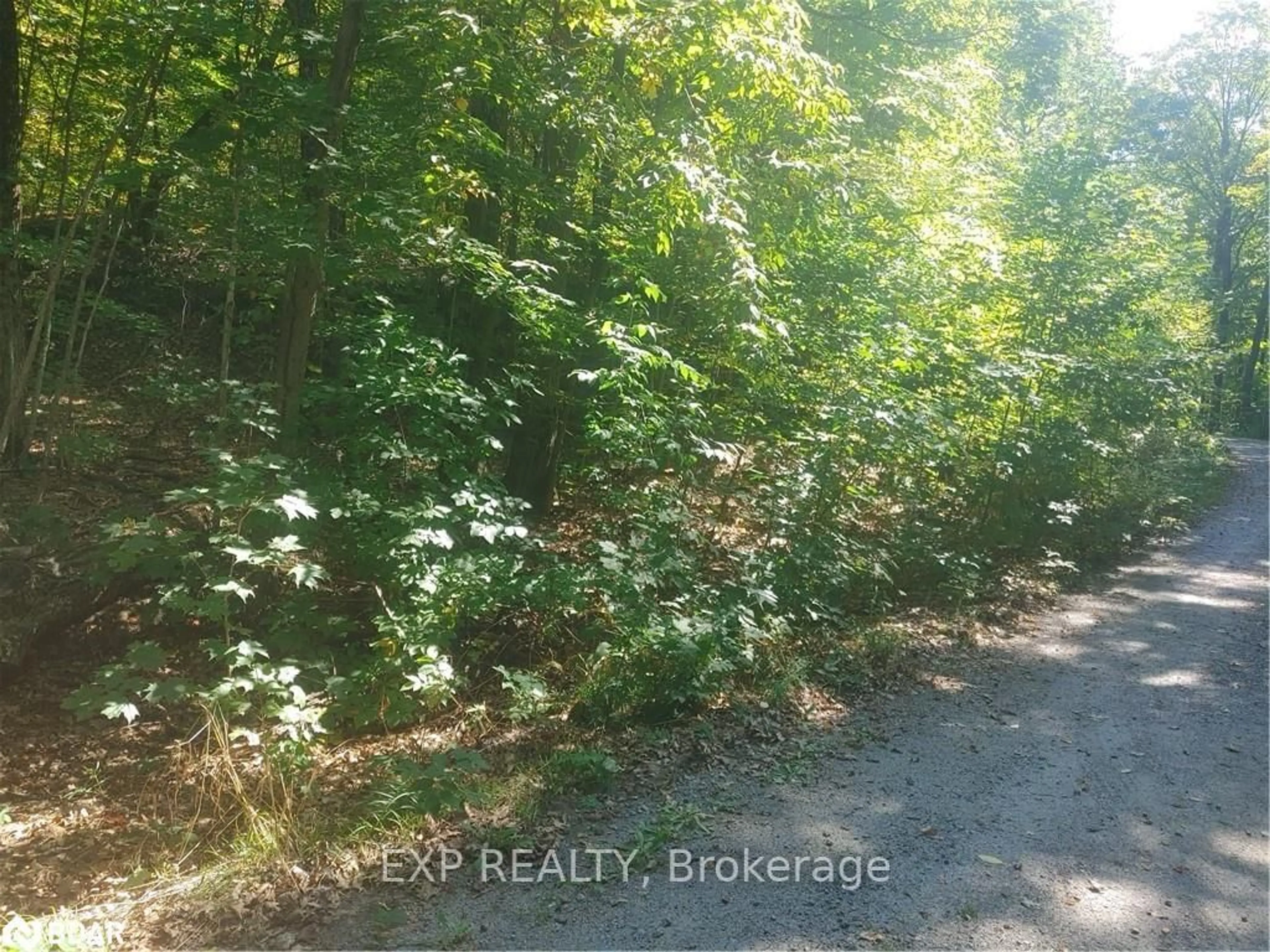 Blurry image for N/A Johnston Rd, Seguin Ontario P2A 2W8