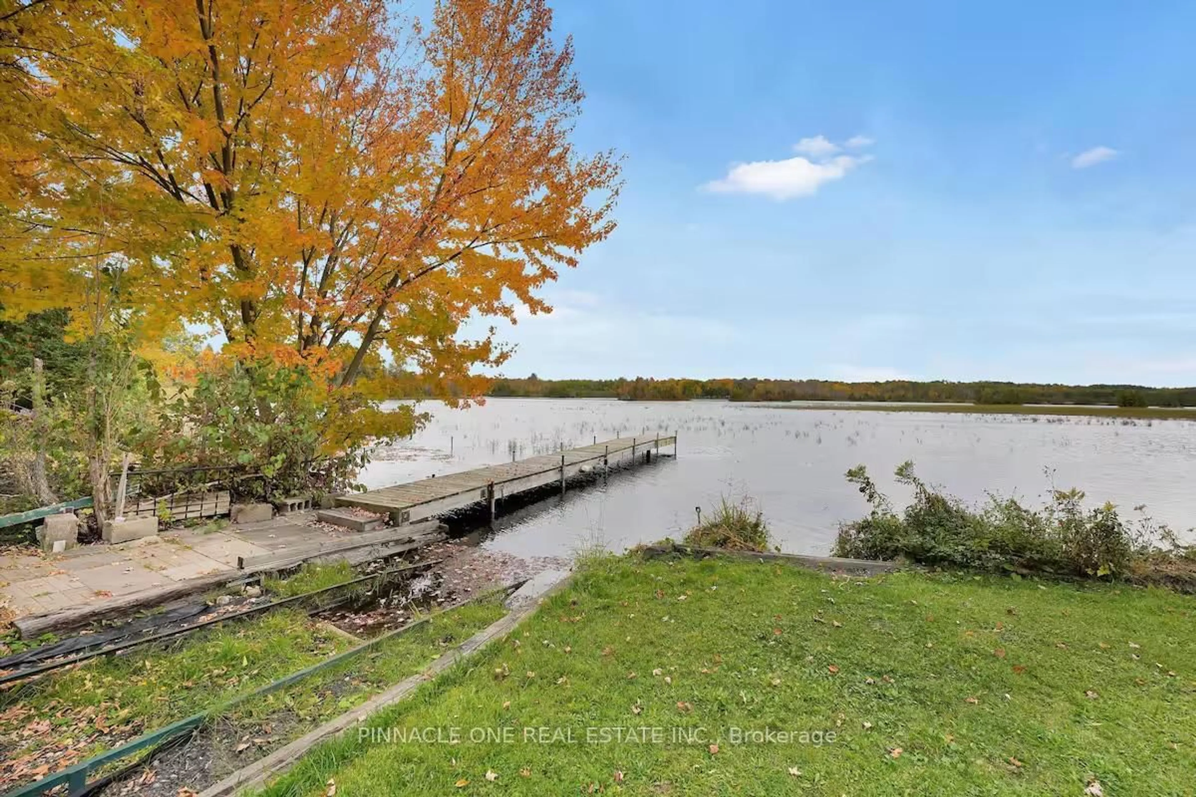 Patio, water/lake/river/ocean view for 159 Mcguire Beach Rd, Kawartha Lakes Ontario K0M 2B0