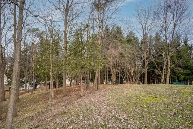 Additional property image - 558 Governors Rd