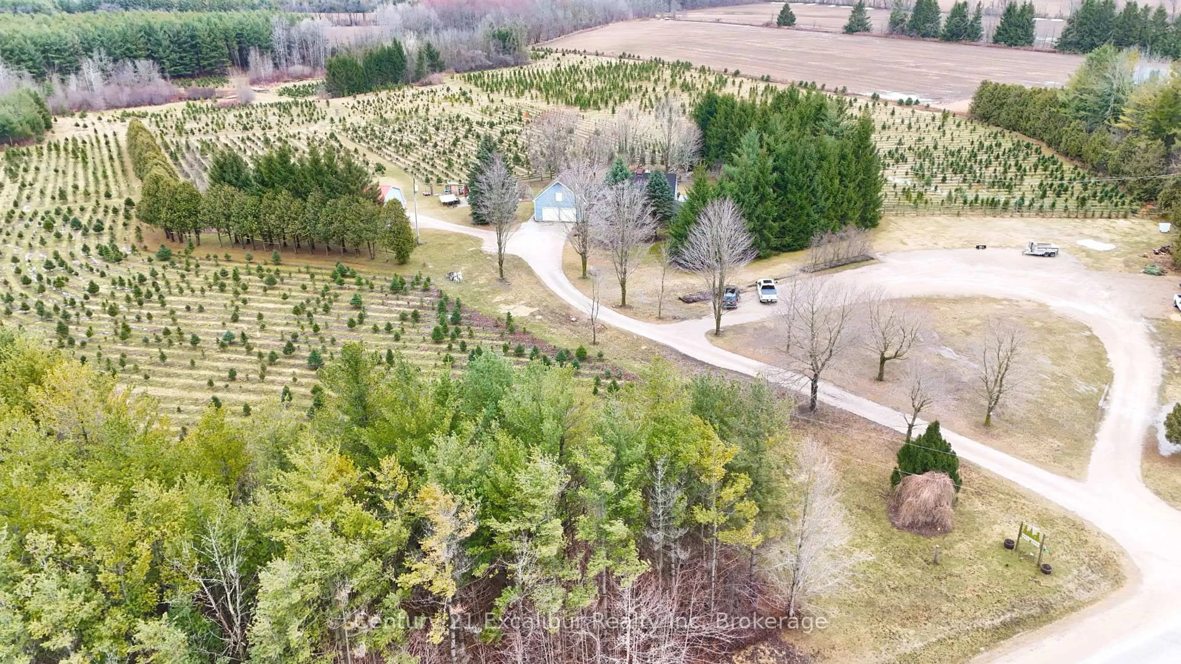 A pic from outside/outdoor area/front of a property/back of a property/a pic from drone, forest/trees view for 7811 WELLINGTON ROAD 22, Guelph/Eramosa Ontario N1H 6J2