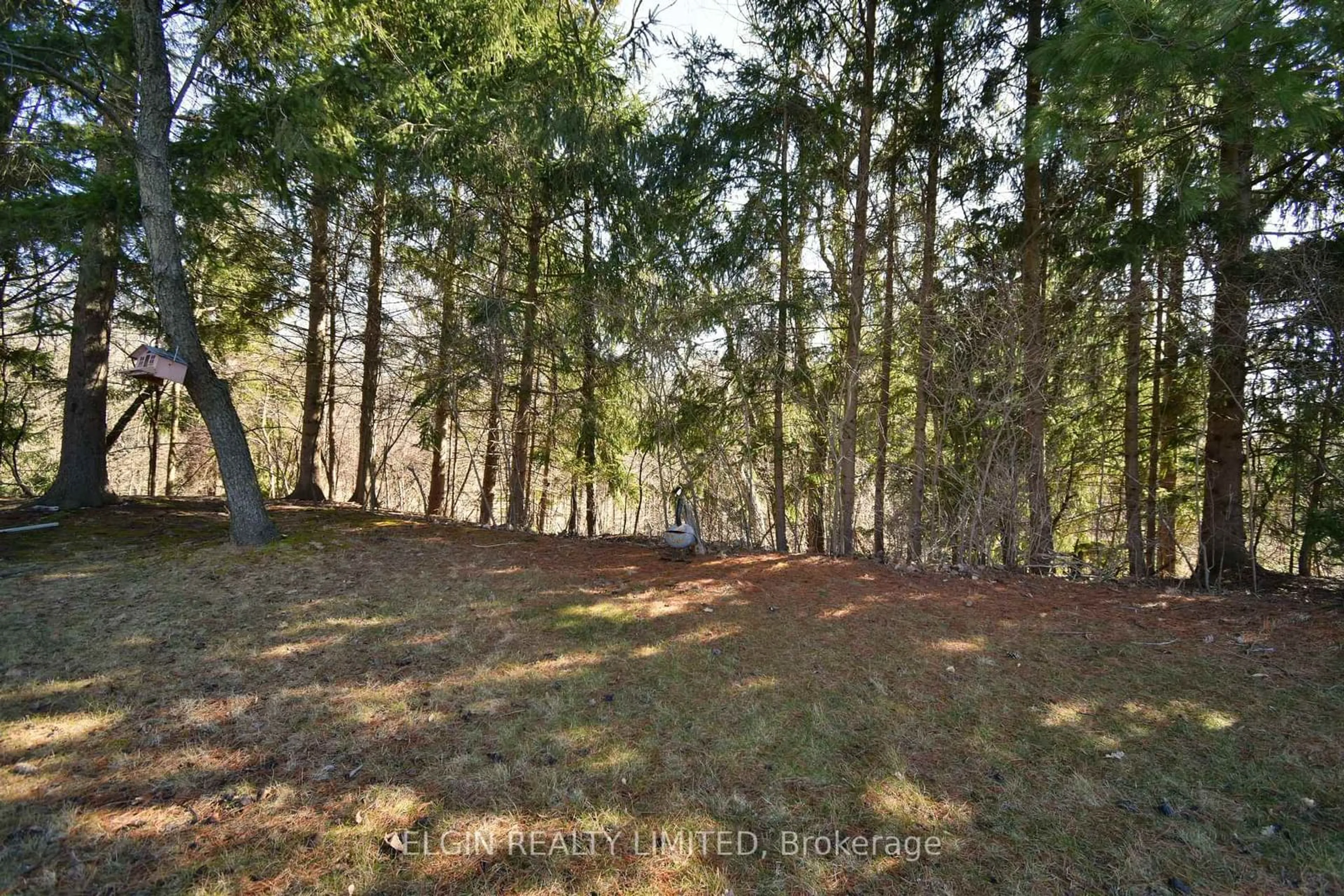 A pic from outside/outdoor area/front of a property/back of a property/a pic from drone, forest/trees view for 13 Warbler Hts, St. Thomas Ontario N5R 6J4