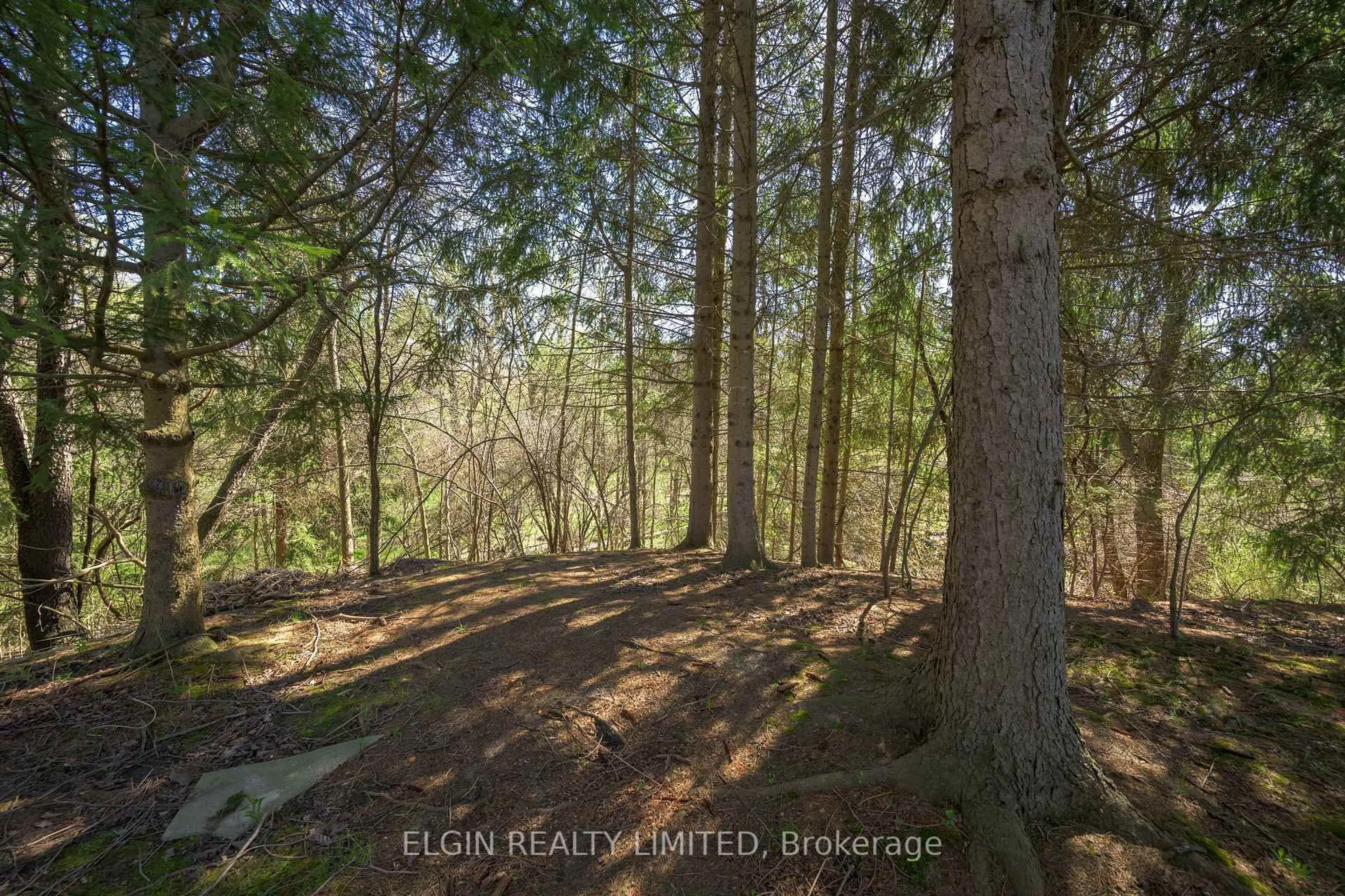 A pic from outside/outdoor area/front of a property/back of a property/a pic from drone, forest/trees view for 13 Warbler Hts, St. Thomas Ontario N5R 6J4