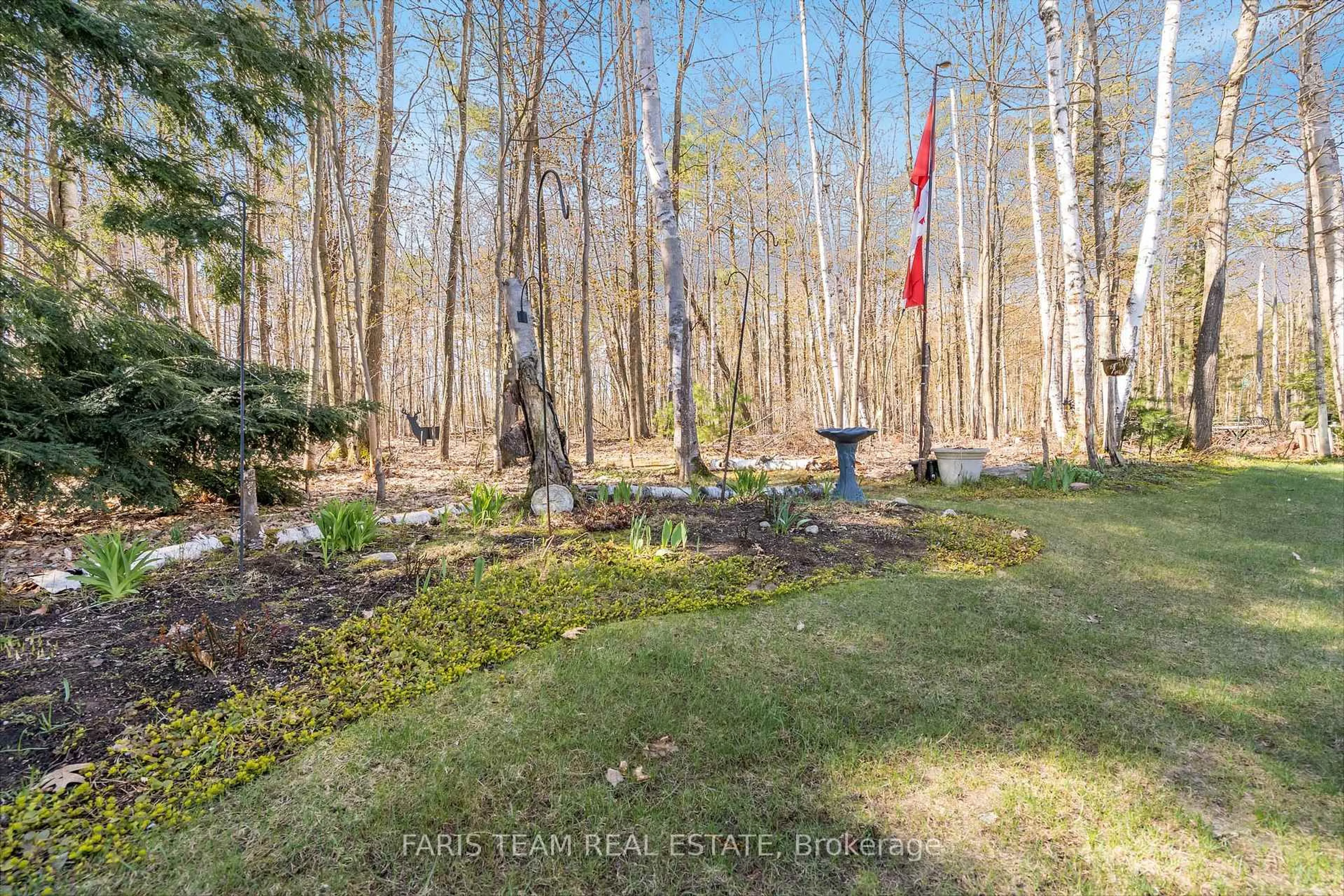 A pic from outside/outdoor area/front of a property/back of a property/a pic from drone, forest/trees view for 145 Pineridge Gate, Gravenhurst Ontario P1P 1Z1