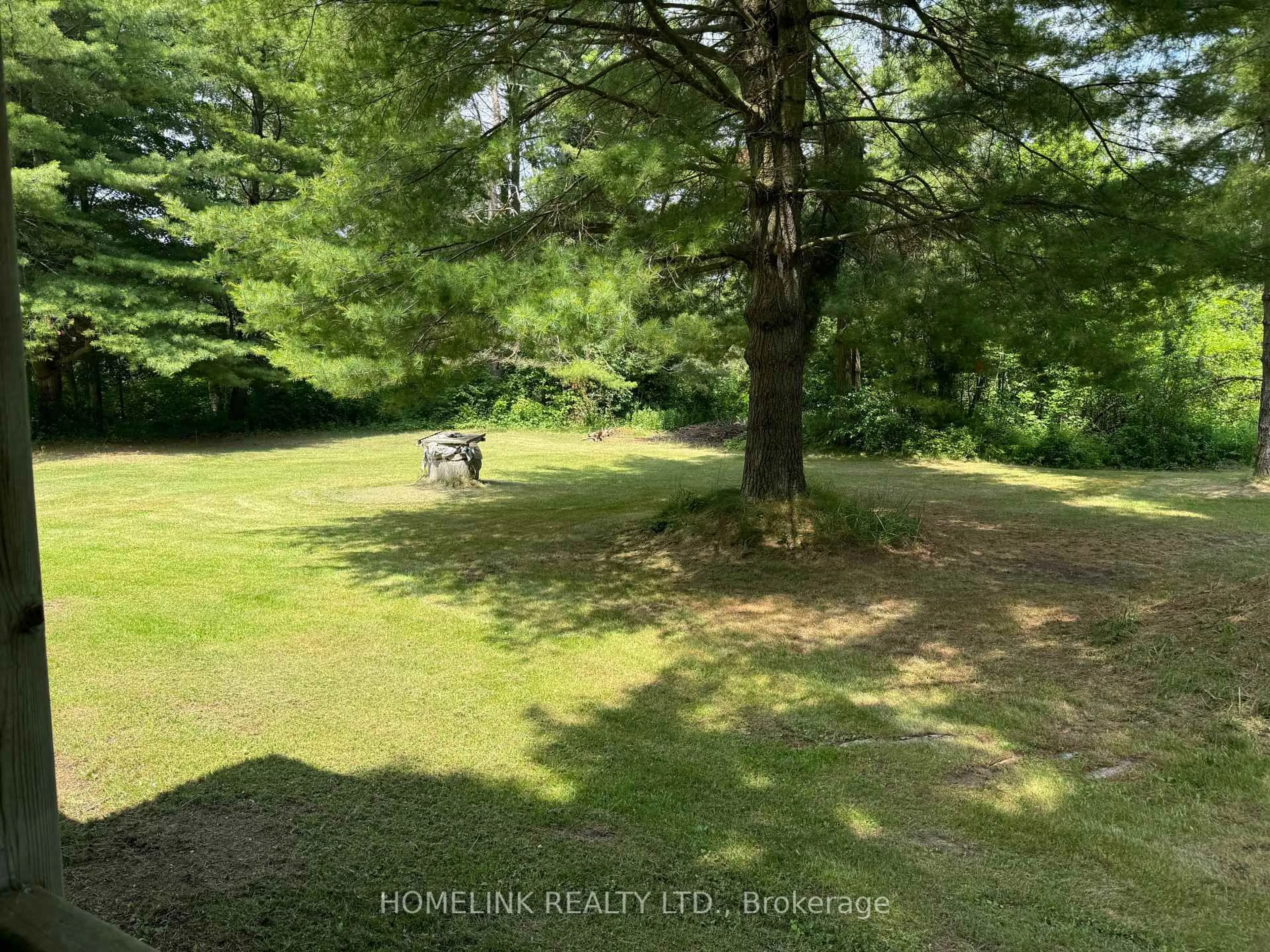 A pic from outside/outdoor area/front of a property/back of a property/a pic from drone, forest/trees view for 371 Barcovan Beach Rd, Brighton Ontario K0K 1L0
