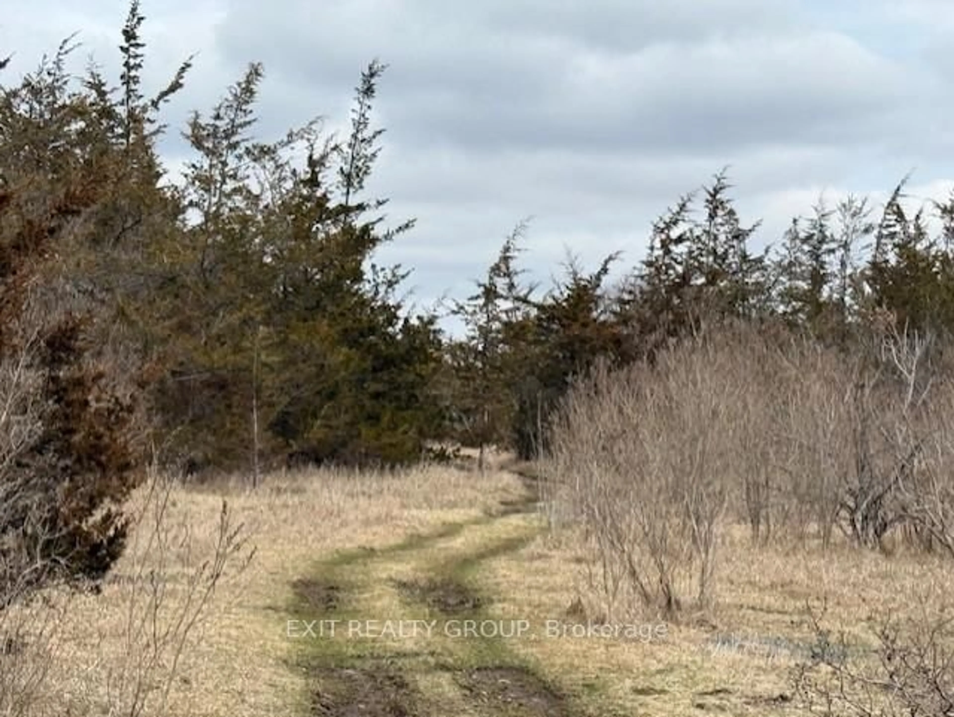 Blurry image for 1047 Lazier Rd, Shannonville Ontario K0K 3A0