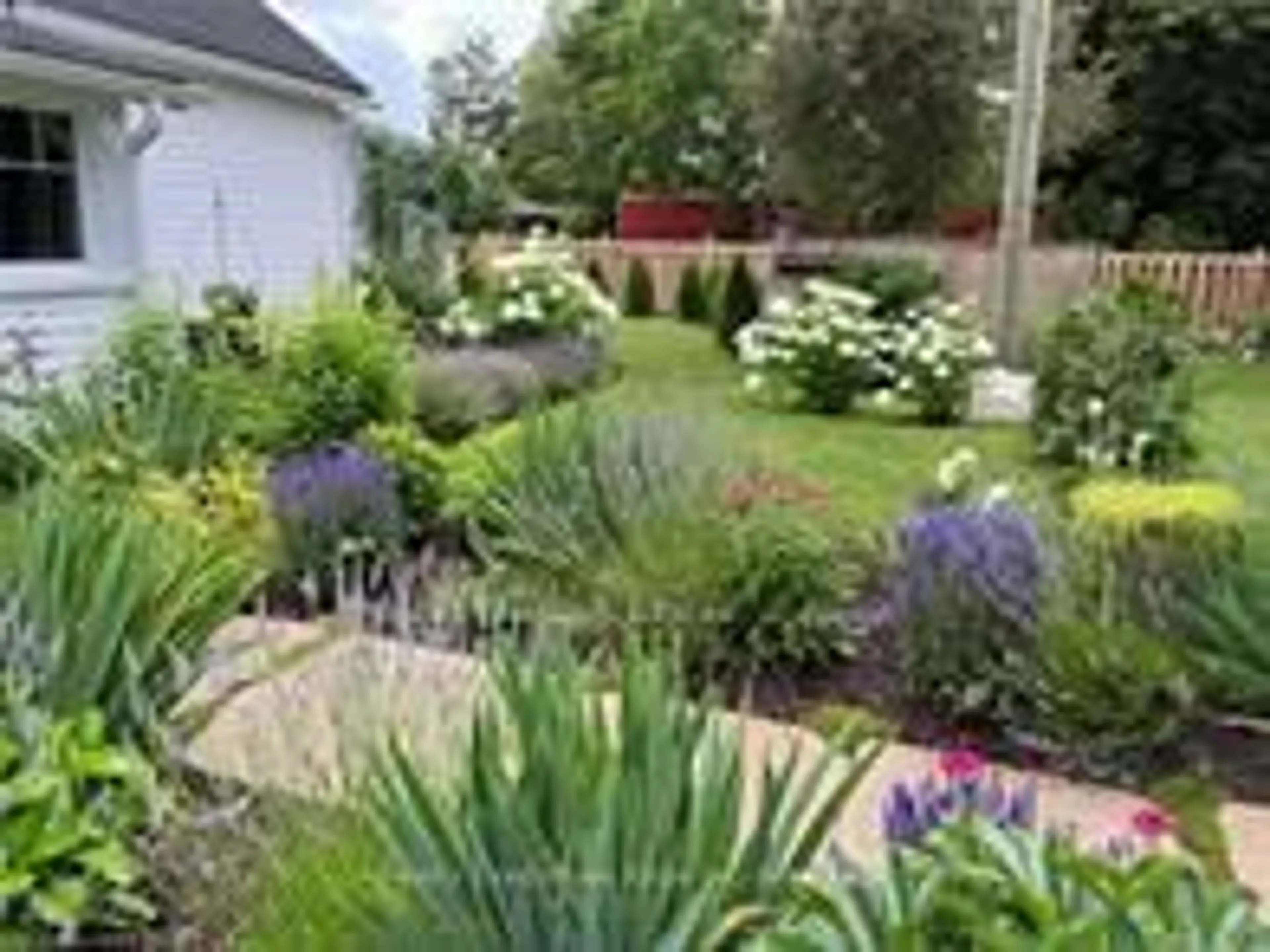 Patio, street for 106 Bruce St, West Grey Ontario N0G 1R0