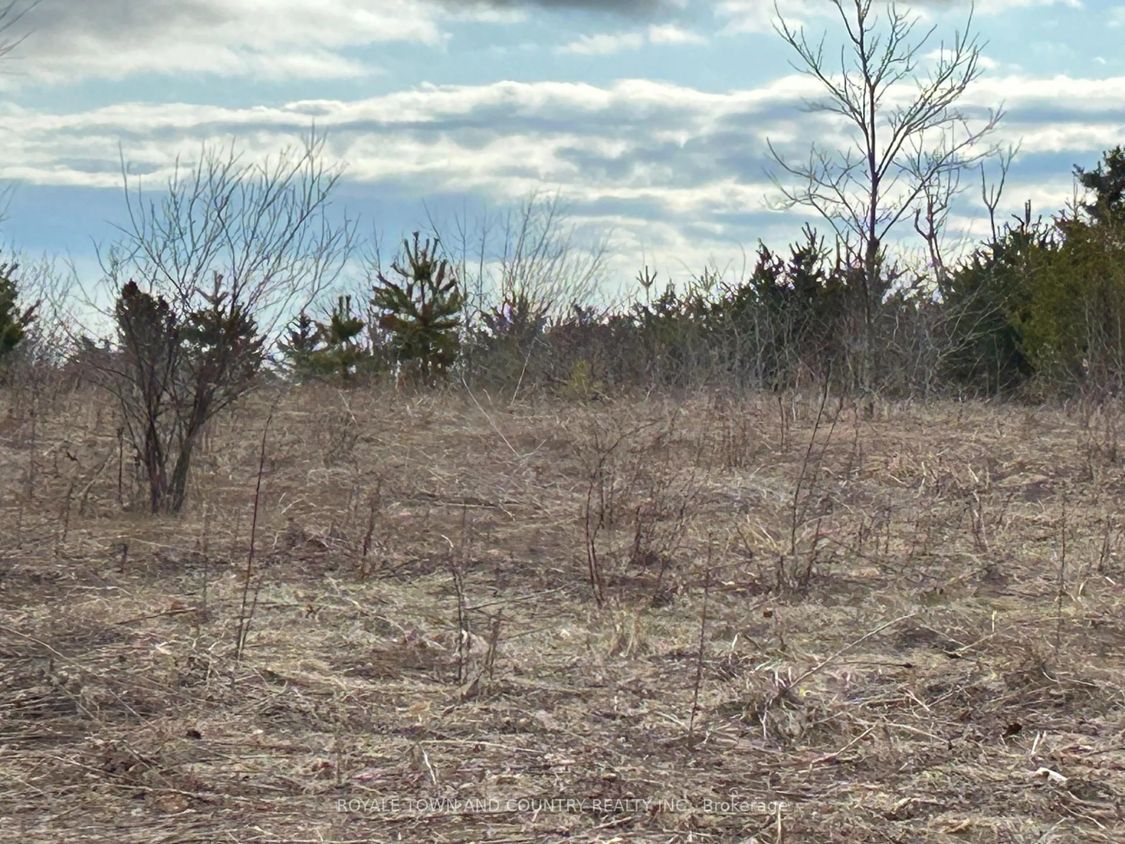 Blurry image for 0 Pontypool Rd, Kawartha Lakes Ontario L0A 1K0