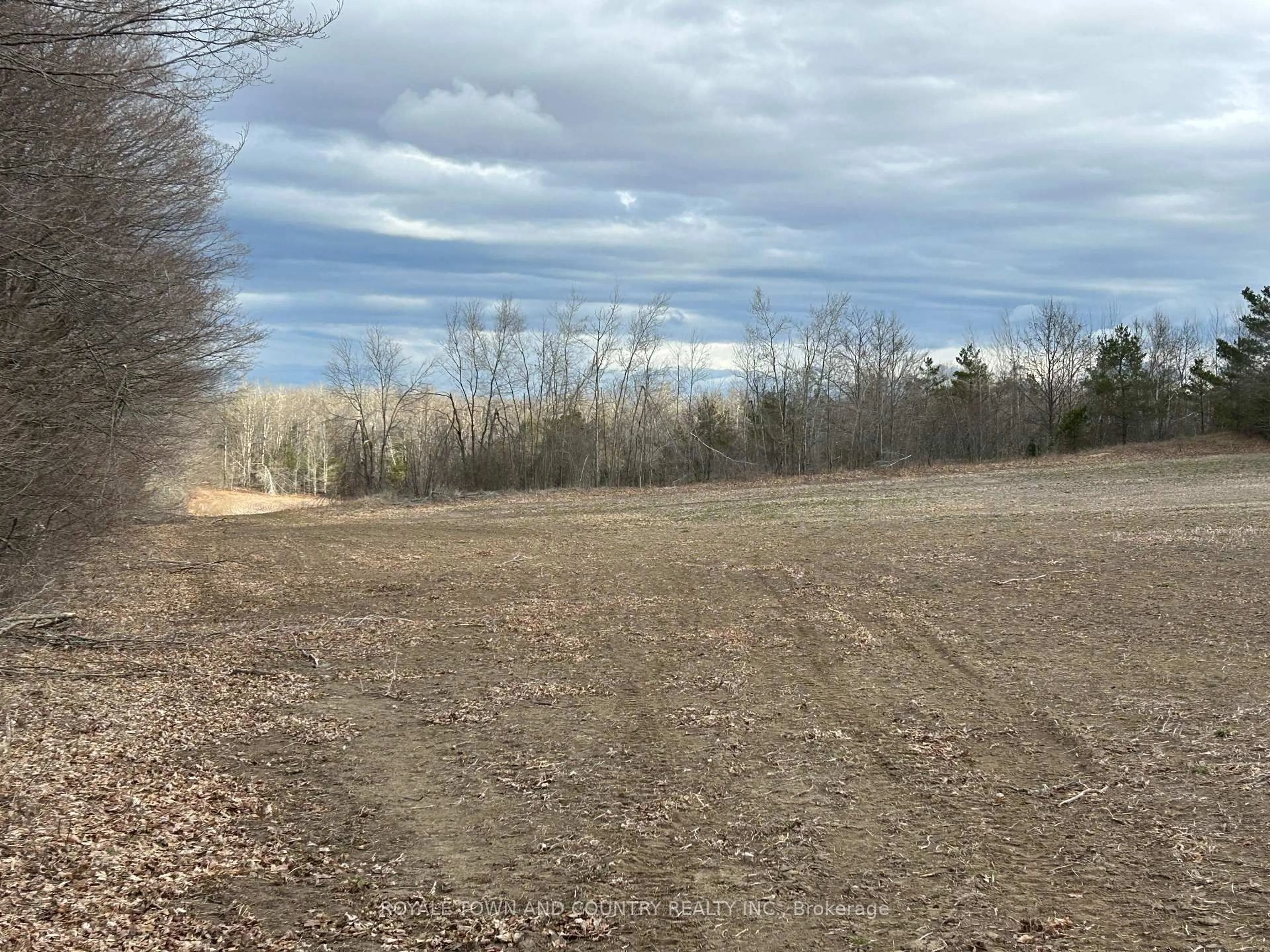 A pic from outside/outdoor area/front of a property/back of a property/a pic from drone, forest/trees view for 0 Pontypool Rd, Kawartha Lakes Ontario L0A 1K0