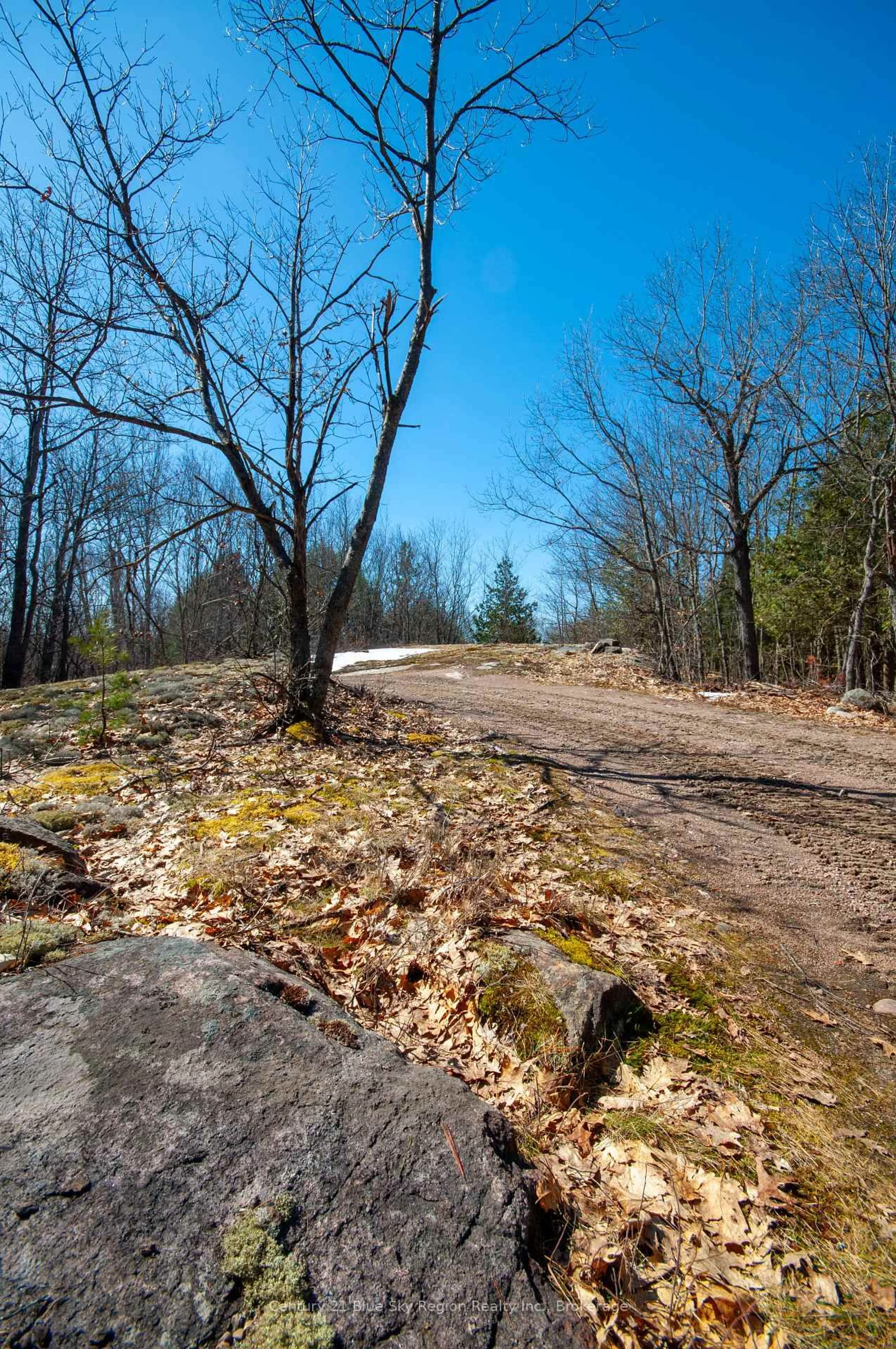 Unknown for LOT 16 GRAND DESERT Rd, Bonfield Ontario P0H 1E0