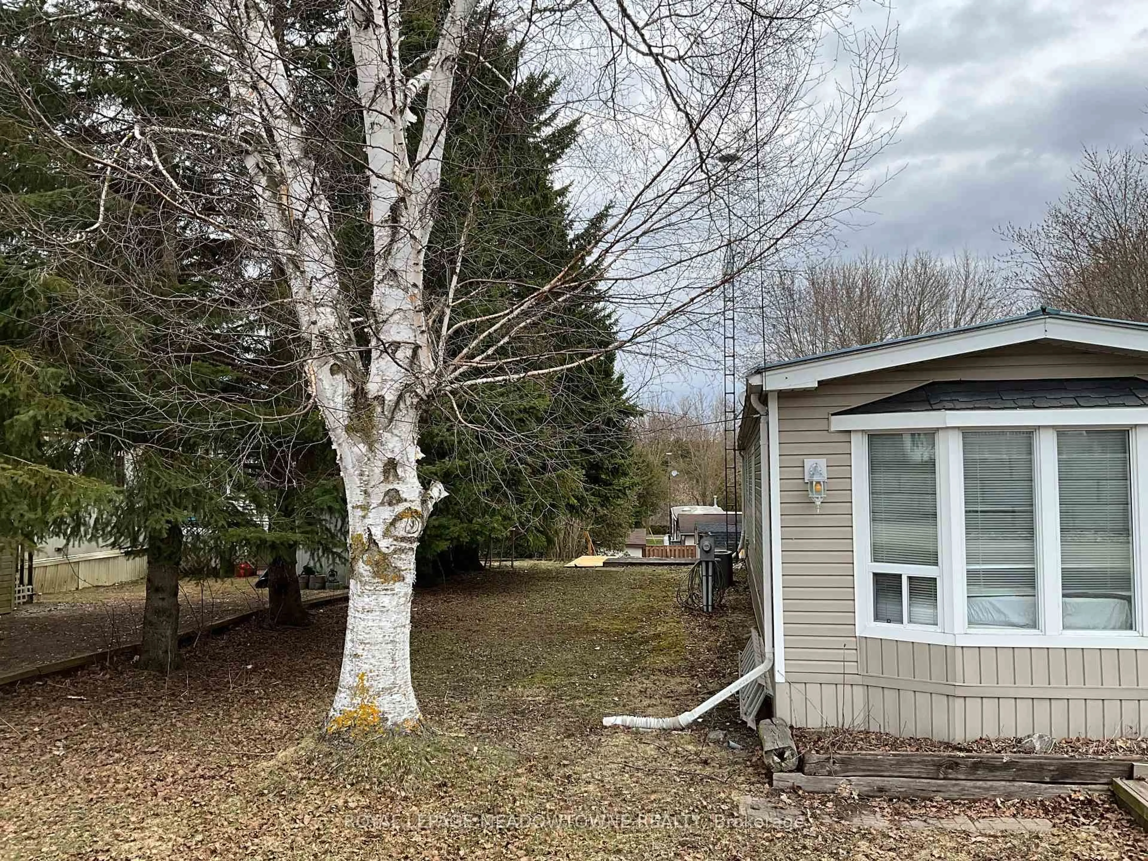 A pic from outside/outdoor area/front of a property/back of a property/a pic from drone, forest/trees view for 8 Grand  Vista Dr, Wellington North Ontario N0G 2L0