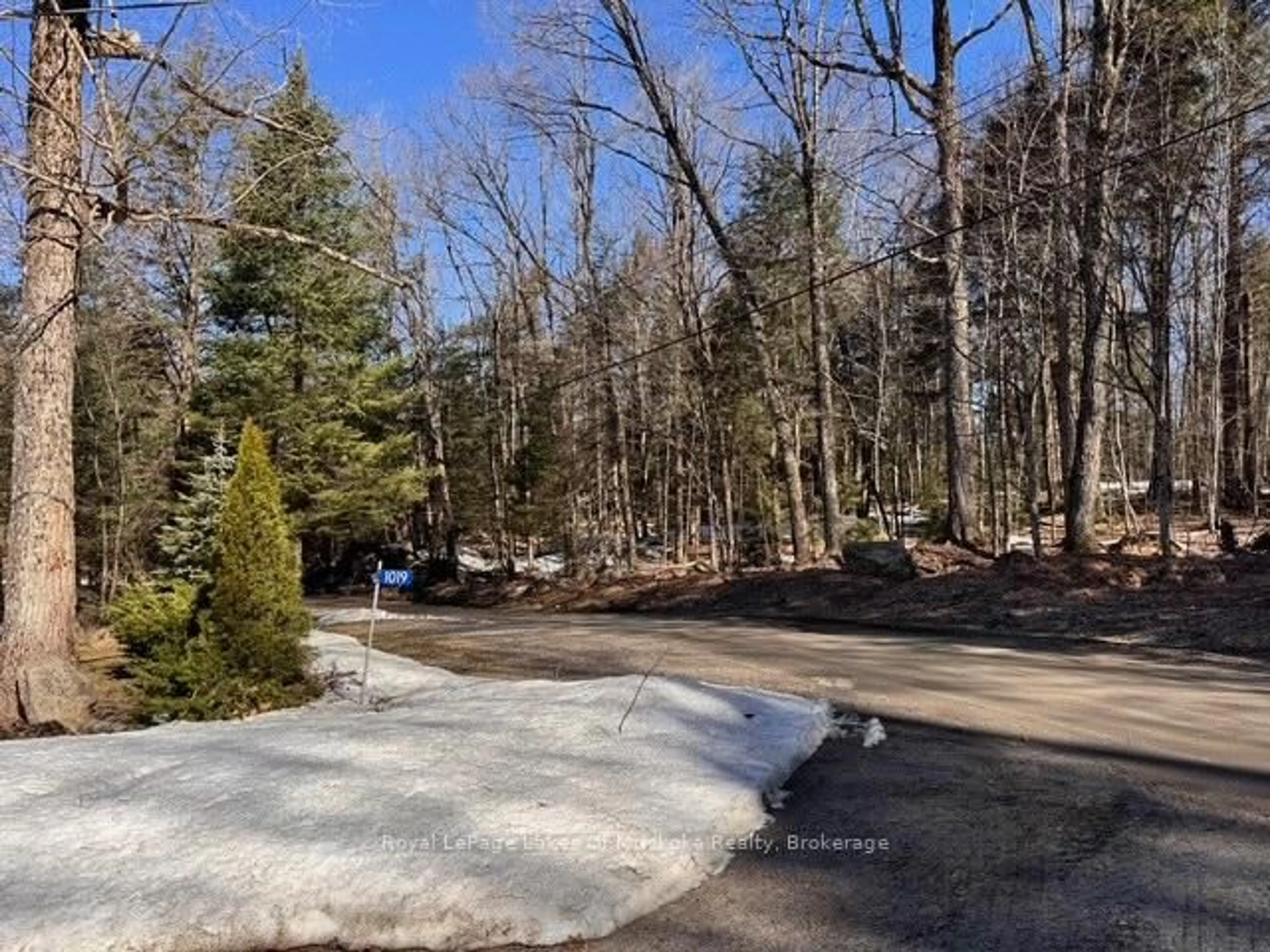 A pic from outside/outdoor area/front of a property/back of a property/a pic from drone, forest/trees view for 1019 Lakeshore Rd, Bracebridge Ontario P1L 1X3