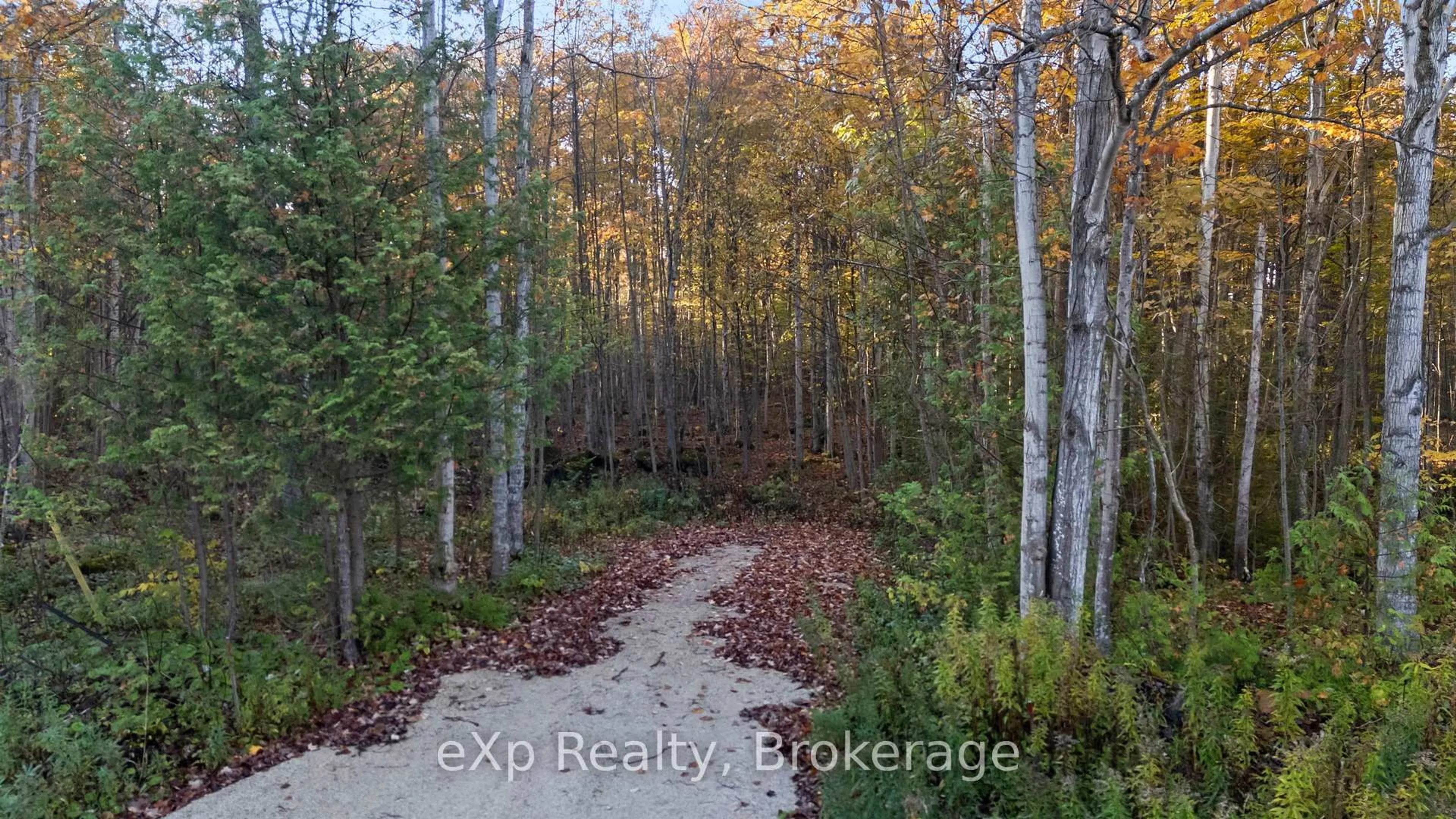 A pic from outside/outdoor area/front of a property/back of a property/a pic from drone, forest/trees view for PTLT 17 GREY ROAD 17, Georgian Bluffs Ontario N0H 2T0