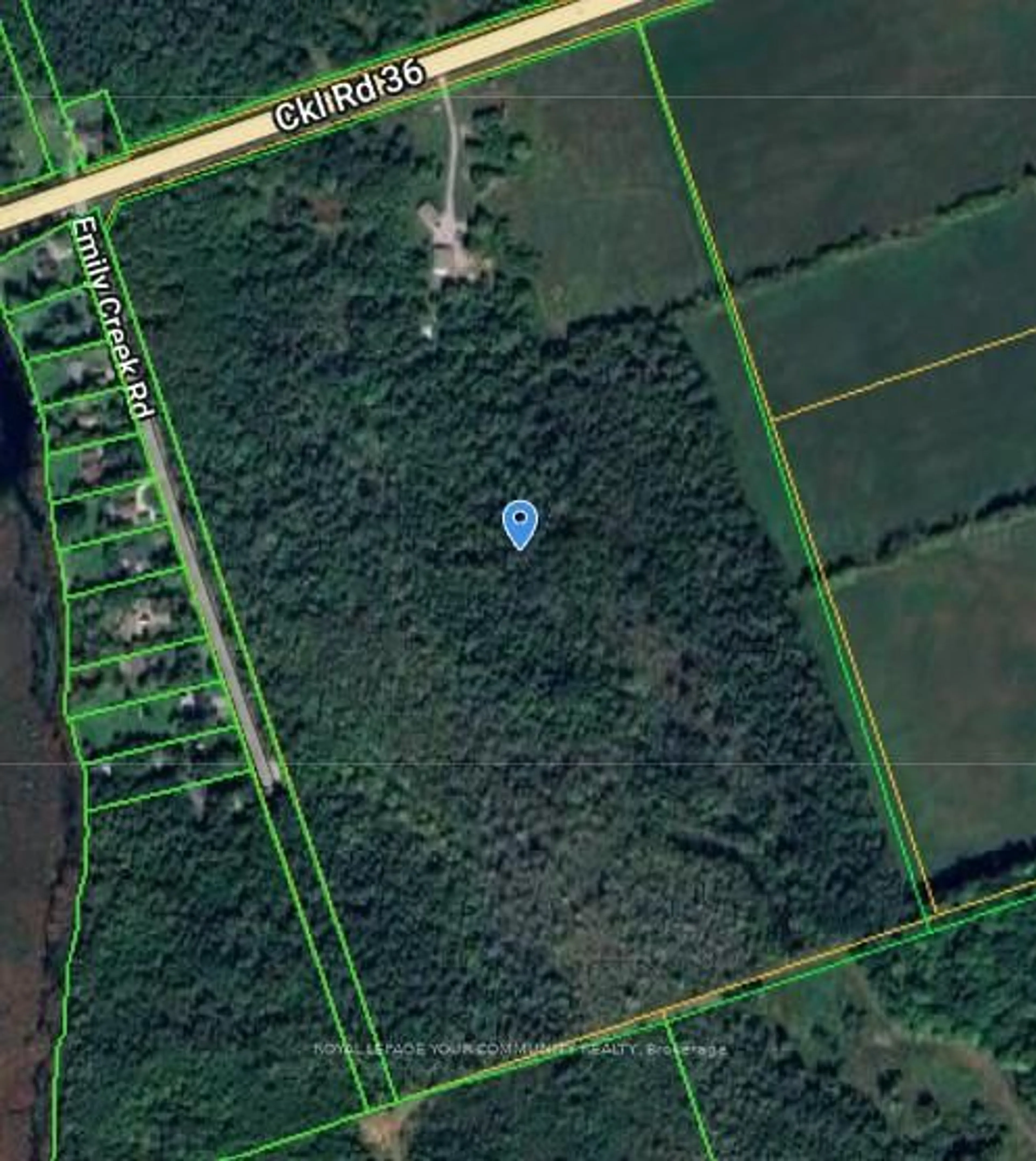 Picture of a map for 2236 County 36 Rd, Kawartha Lakes Ontario K0M 1L0