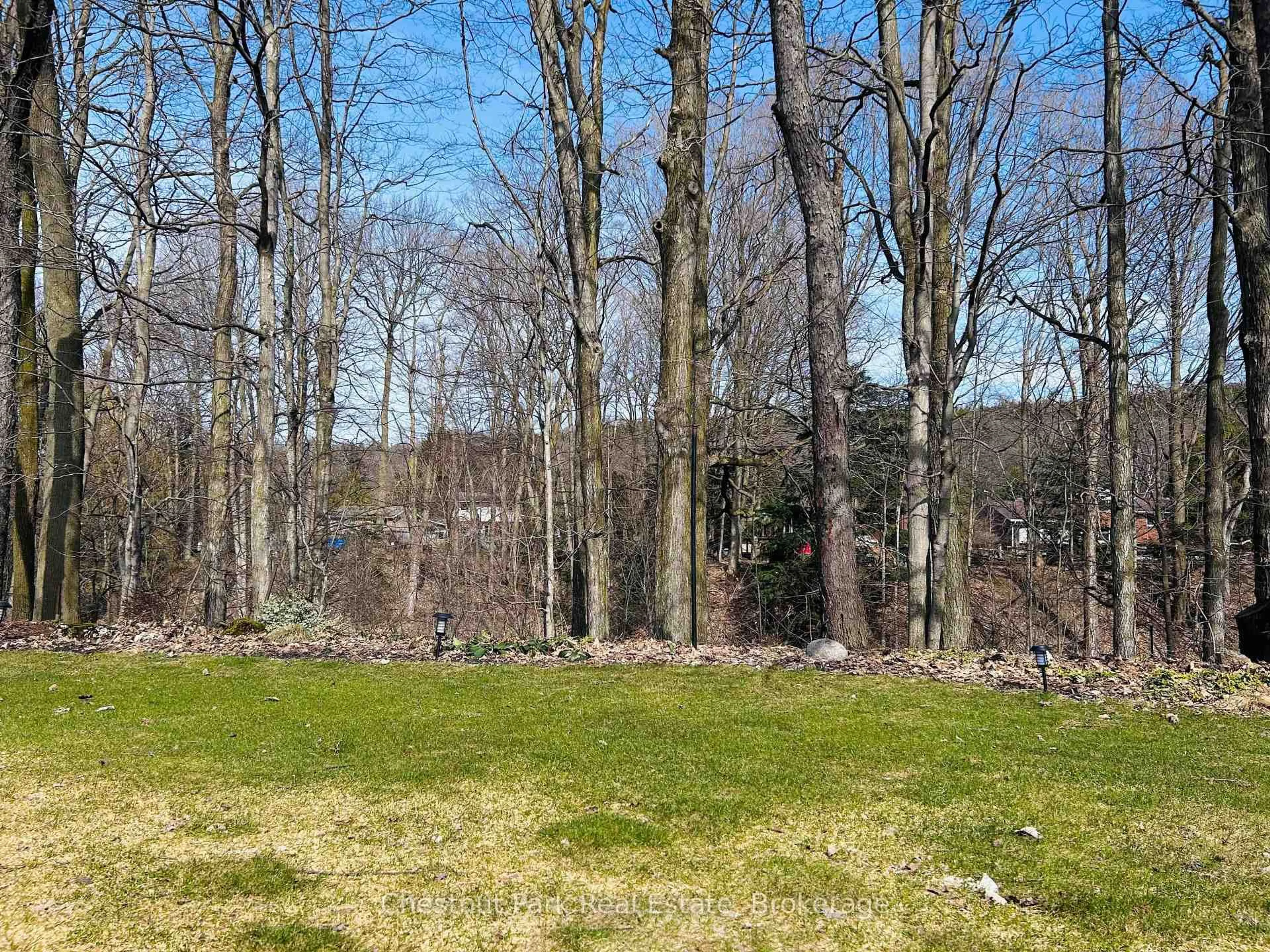 A pic from outside/outdoor area/front of a property/back of a property/a pic from drone, forest/trees view for 162 5th Ave, Owen Sound Ontario N4K 6C7