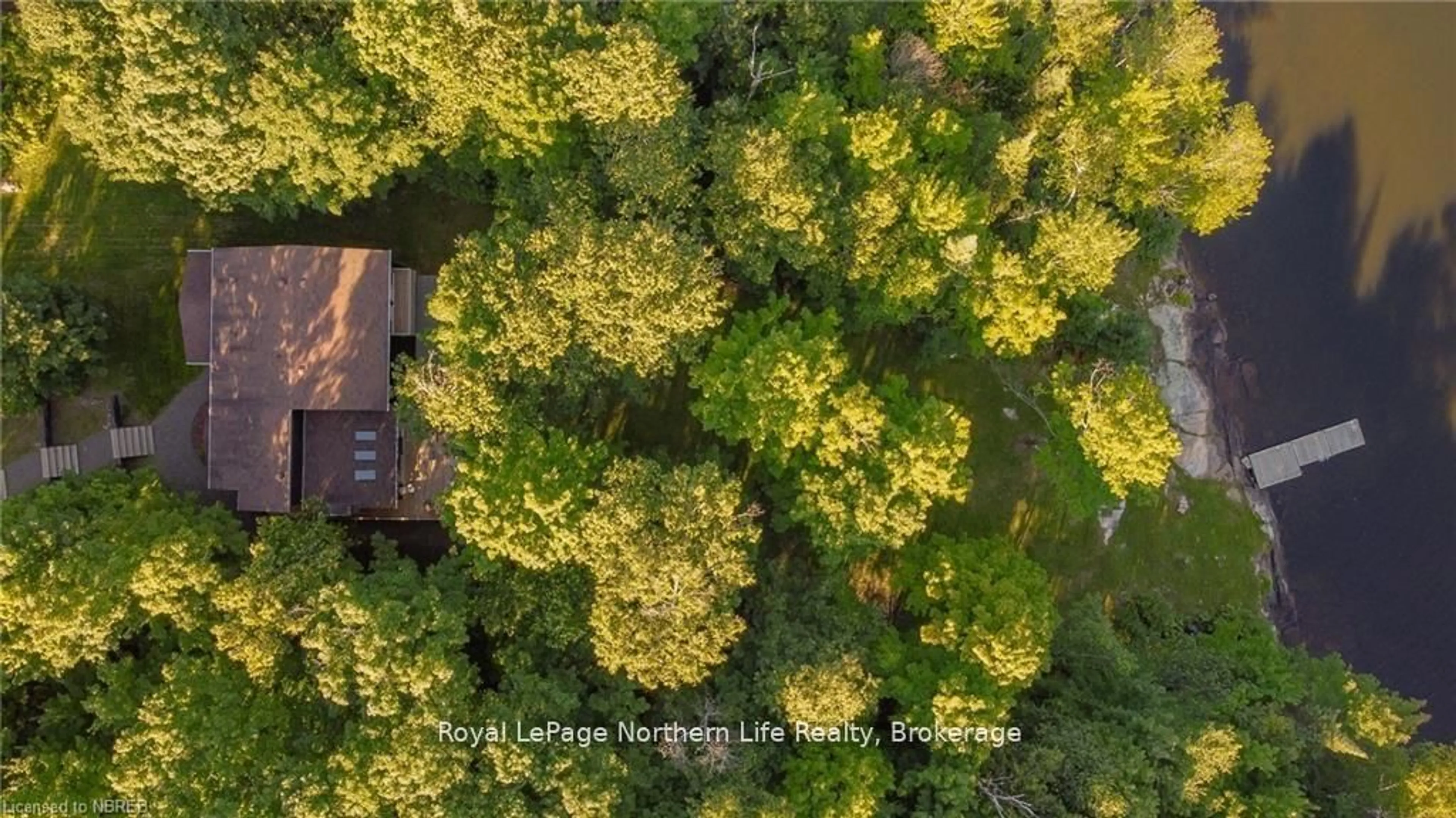 A pic from outside/outdoor area/front of a property/back of a property/a pic from drone, forest/trees view for 272 Waukegan Rd, East Ferris Ontario P0H 1K0