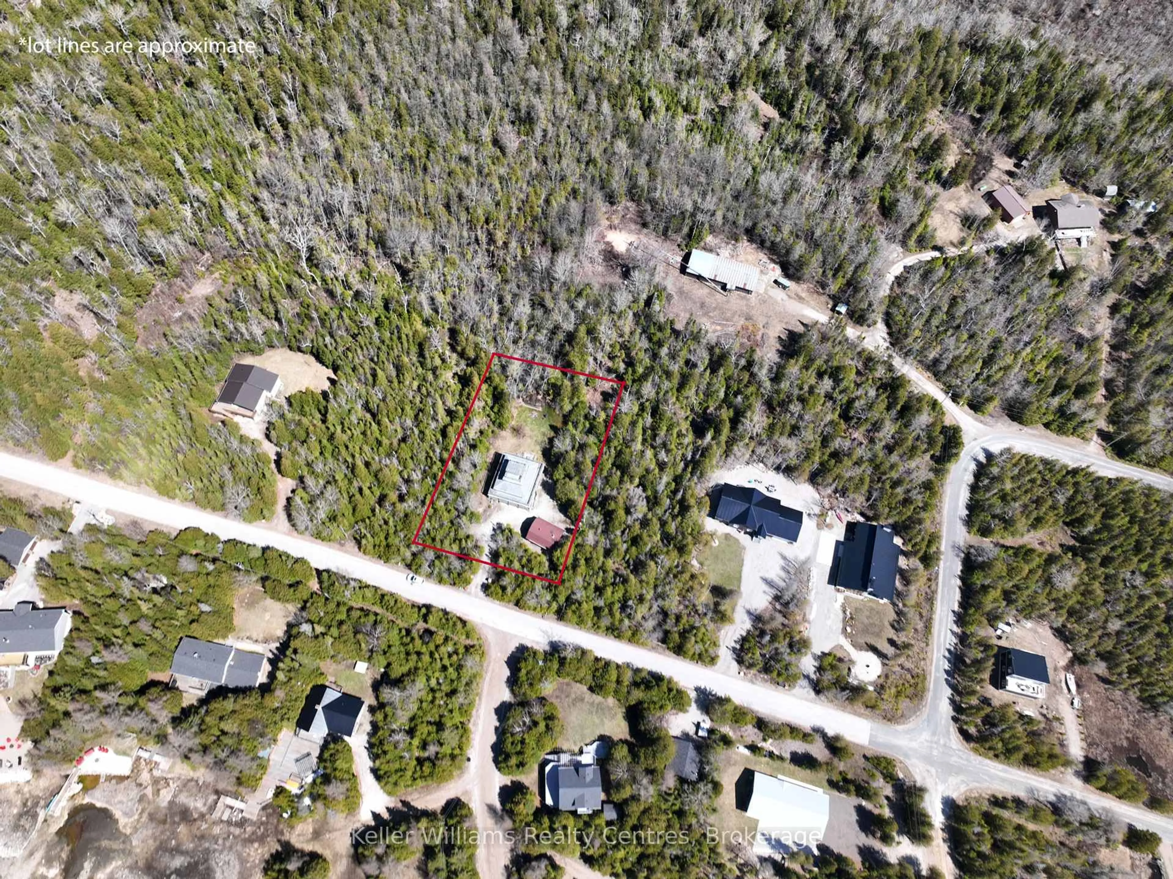 A pic from outside/outdoor area/front of a property/back of a property/a pic from drone, forest/trees view for 38 DEVILS GLEN Rd, Northern Bruce Peninsula Ontario N0H 2T0