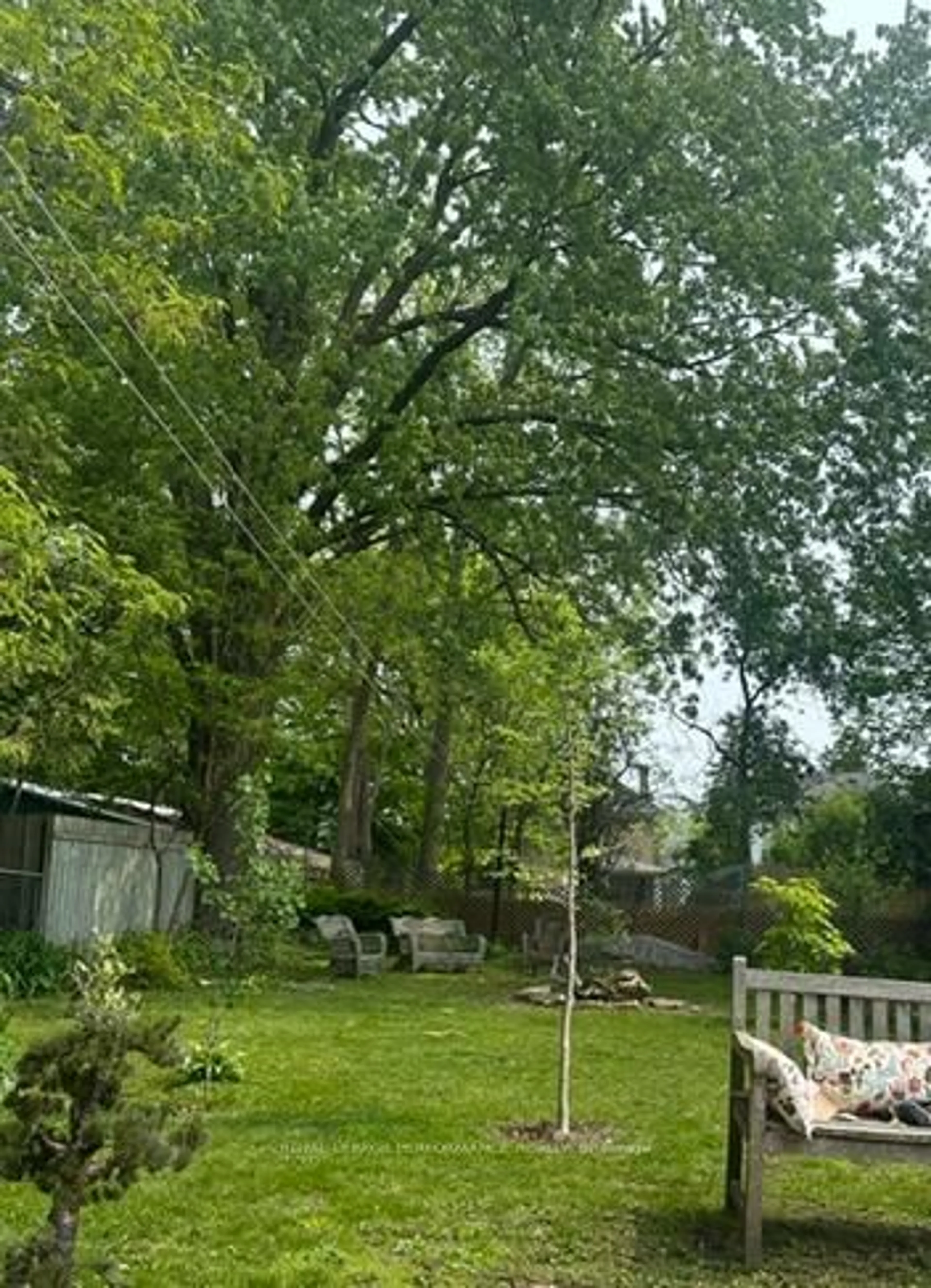 A pic from outside/outdoor area/front of a property/back of a property/a pic from drone, forest/trees view for 13 Drummond St, Perth Ontario K7H 2J3