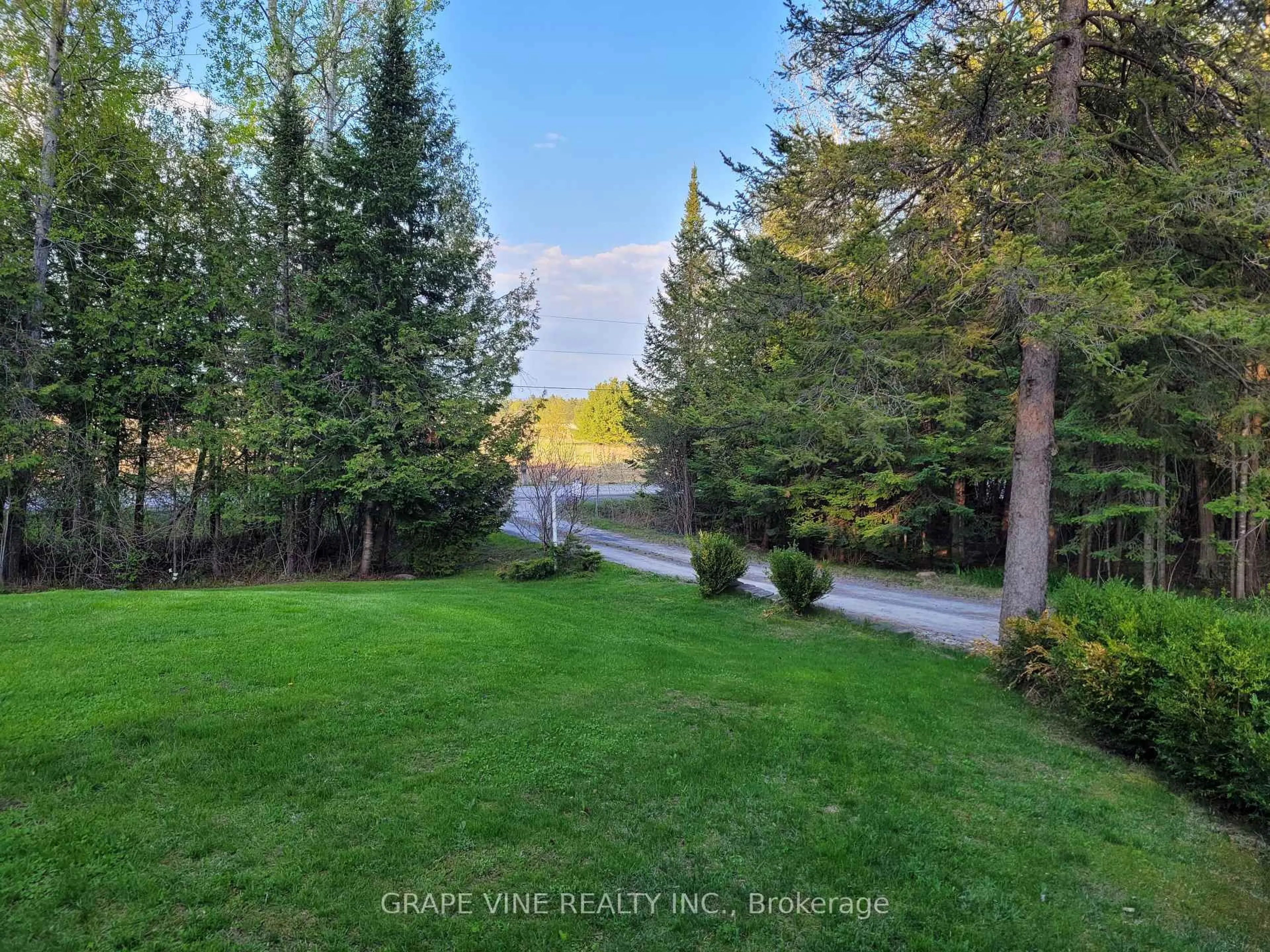 A pic from outside/outdoor area/front of a property/back of a property/a pic from drone, forest/trees view for 4831 Torbolton Ridge Rd, Ottawa Ontario K0A 3M0