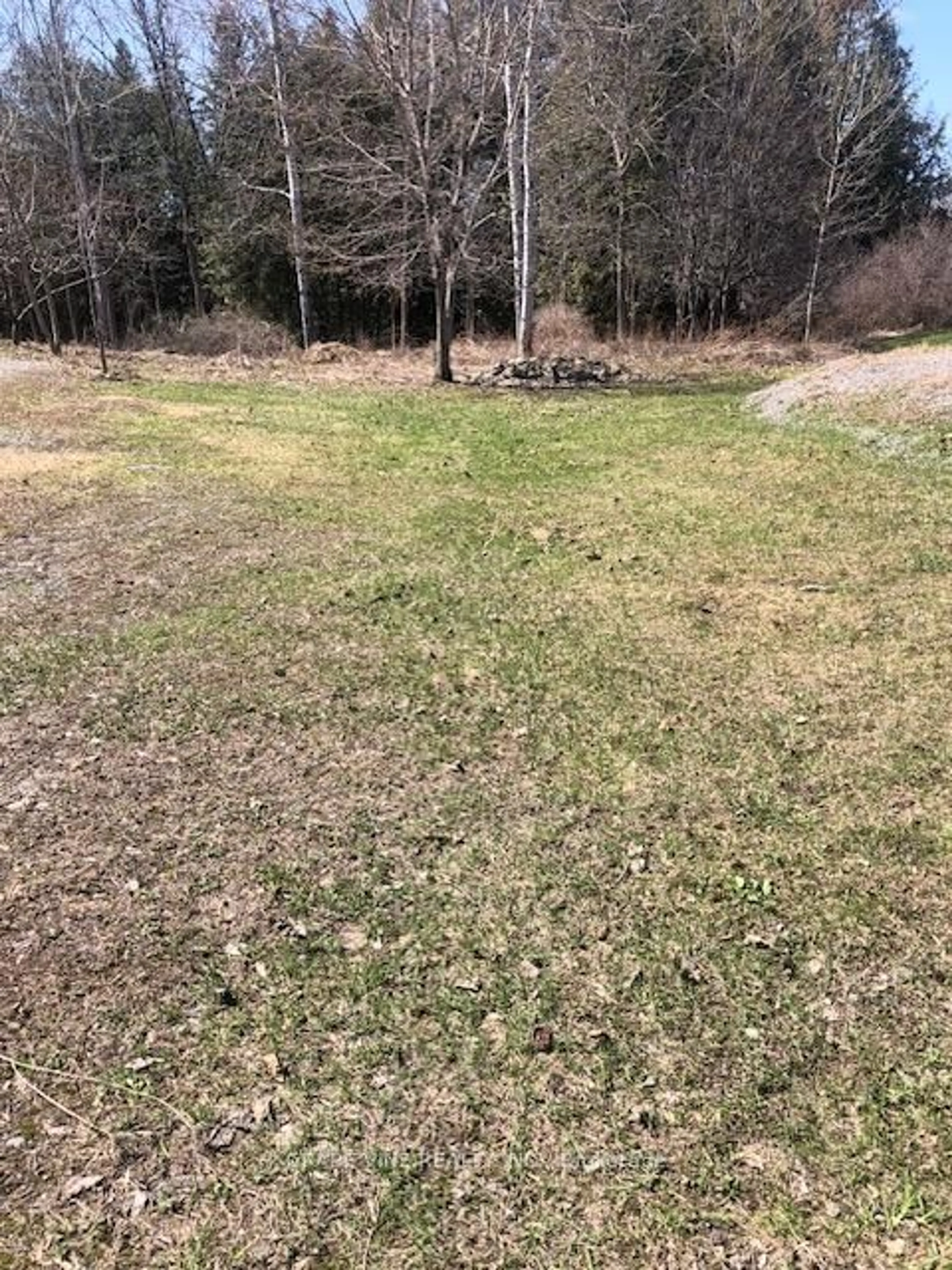 A pic from outside/outdoor area/front of a property/back of a property/a pic from drone, forest/trees view for 35A Cloverloft Crt, Stittsville Ontario K2S 1T3