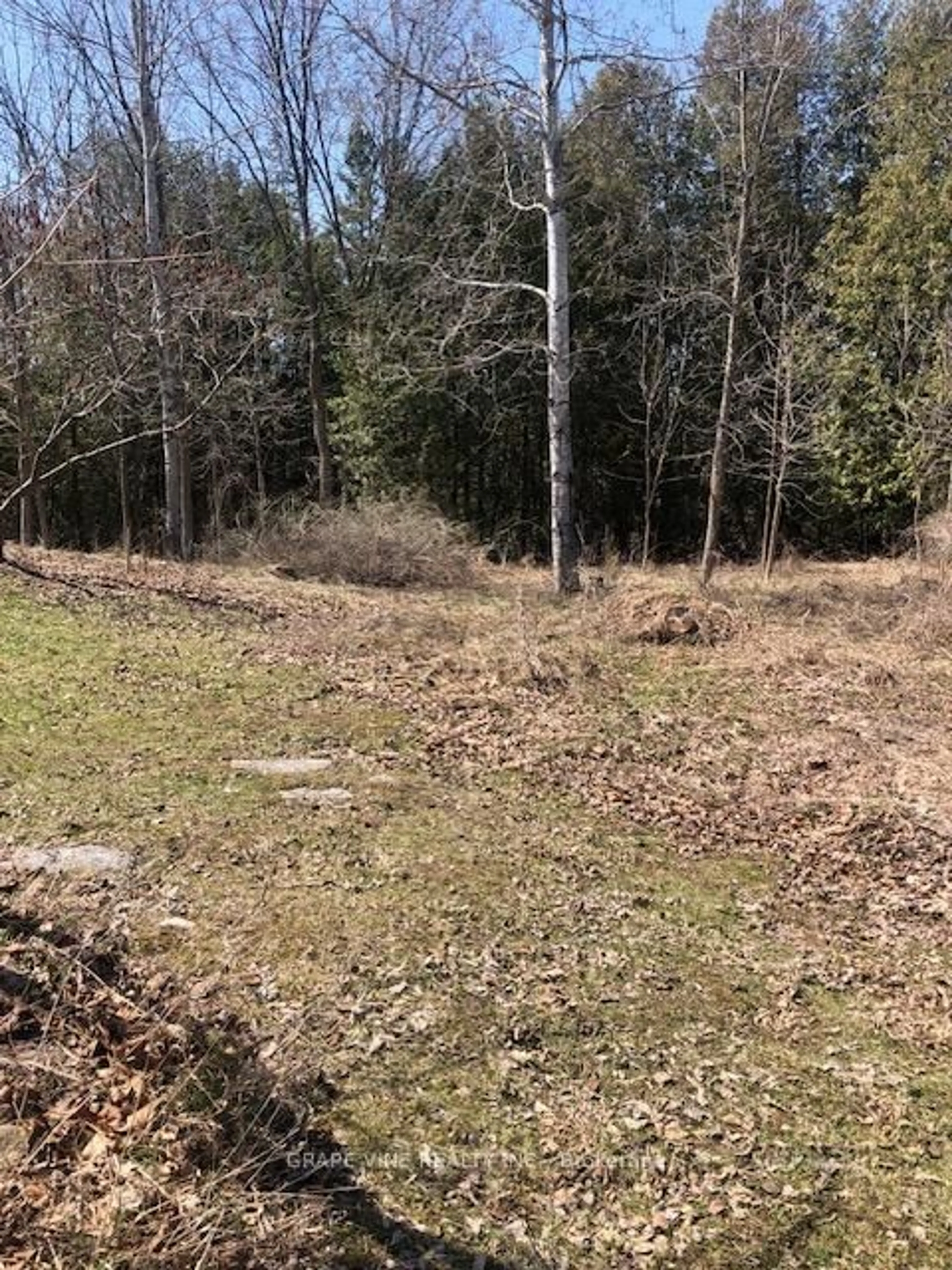 Unknown for 35A Cloverloft Crt, Stittsville Ontario K2S 1T3