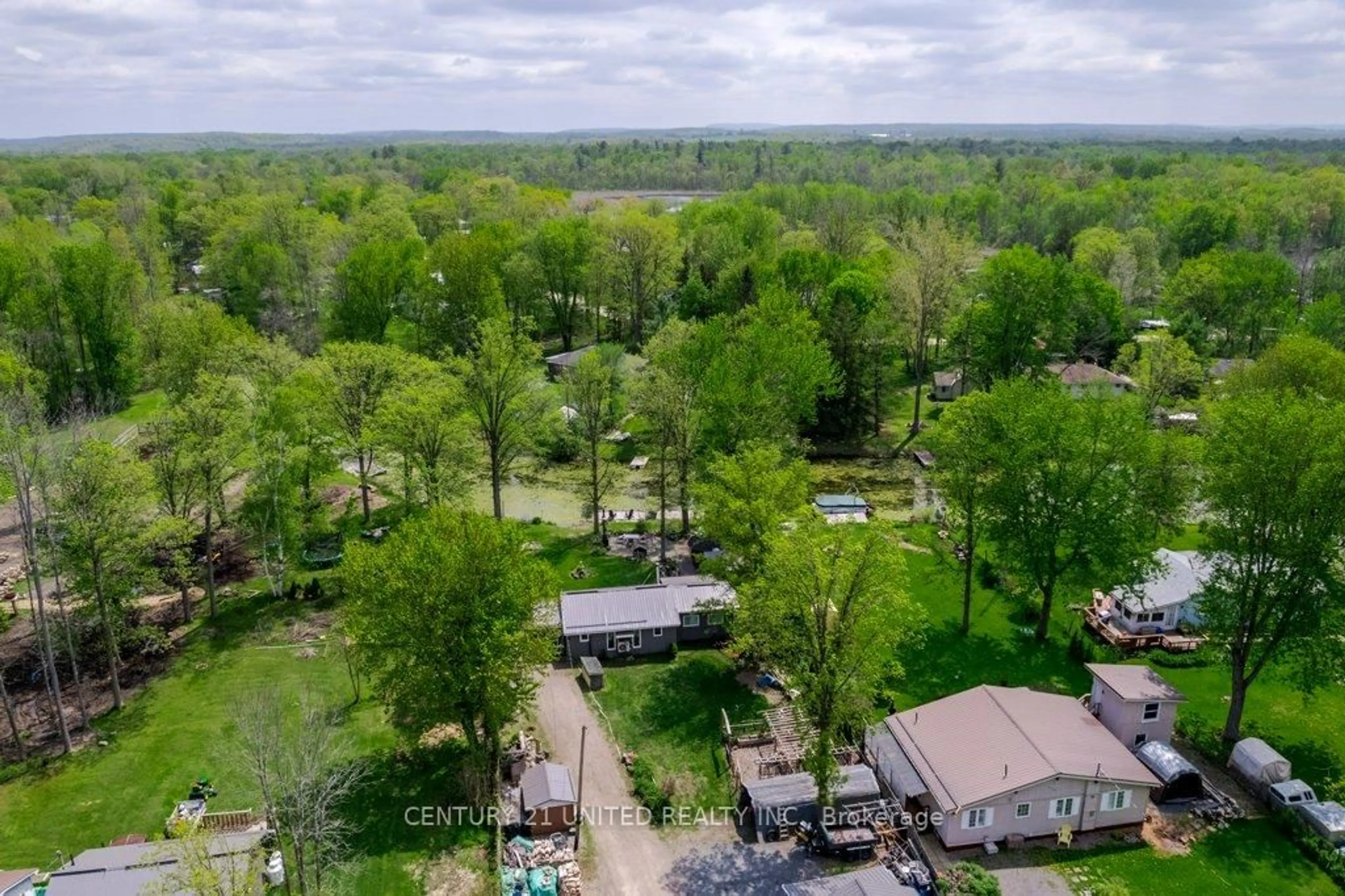 A pic from outside/outdoor area/front of a property/back of a property/a pic from drone, forest/trees view for 2117 2nd Line, Trent Hills Ontario K0L 1L0