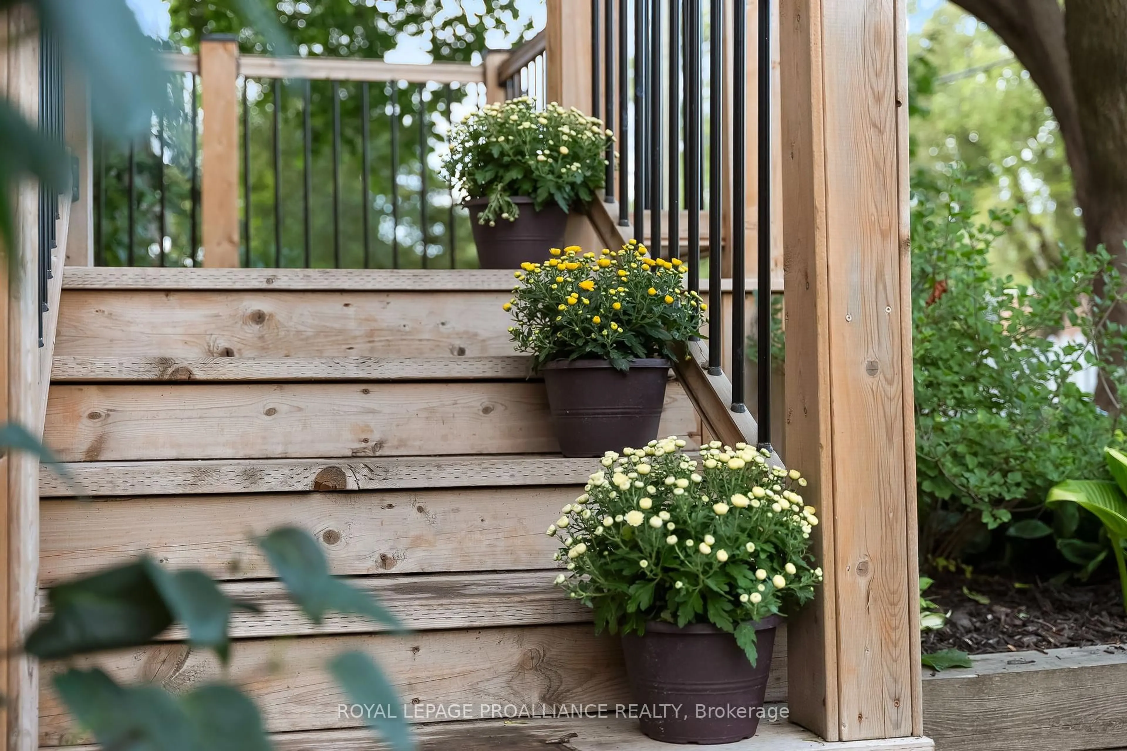 Patio, street for 288 MacDonald Ave, Belleville Ontario K8N 3Z2