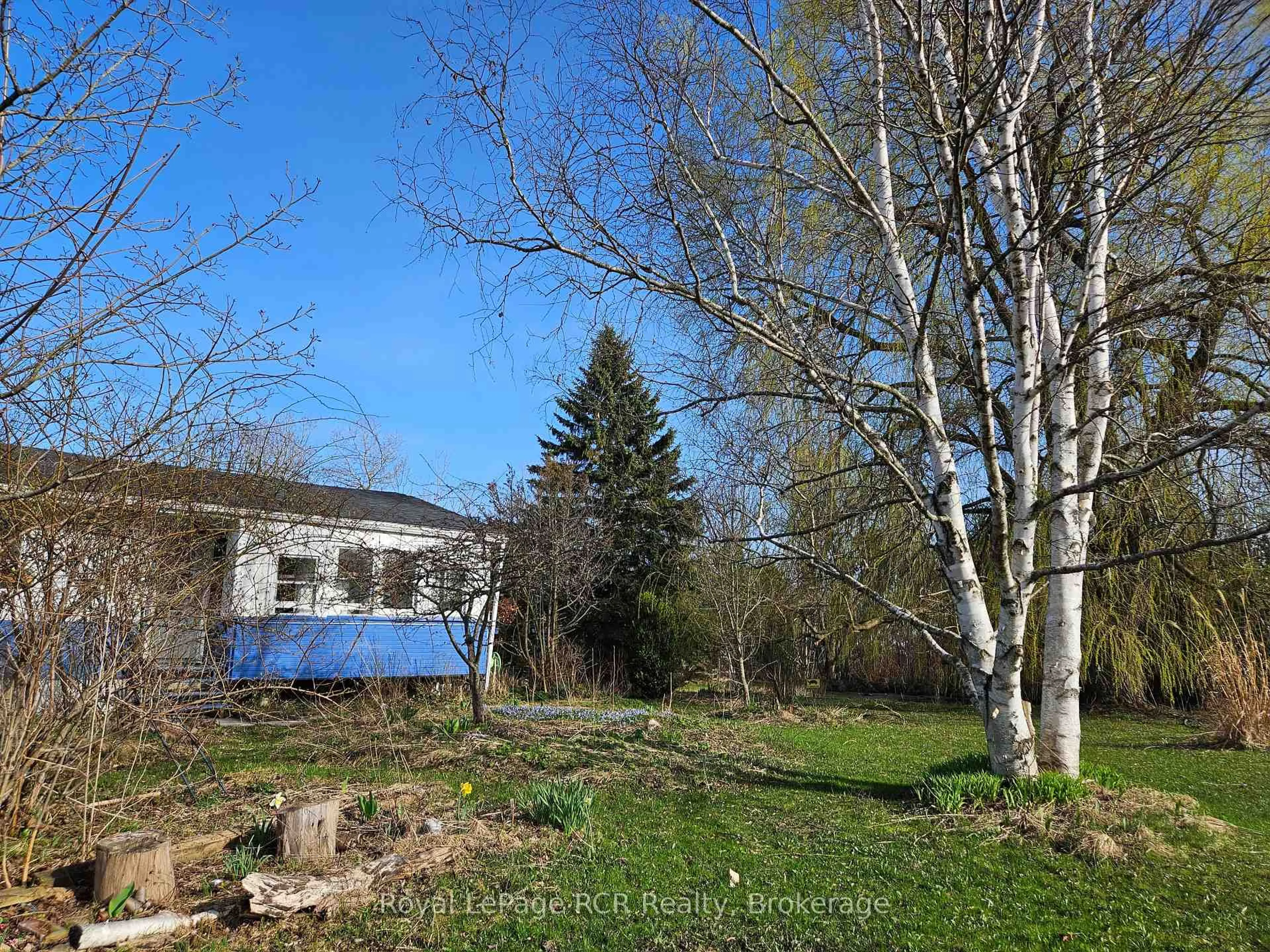 A pic from outside/outdoor area/front of a property/back of a property/a pic from drone, forest/trees view for 127 Kirk St, Georgian Bluffs Ontario N4K 0G2