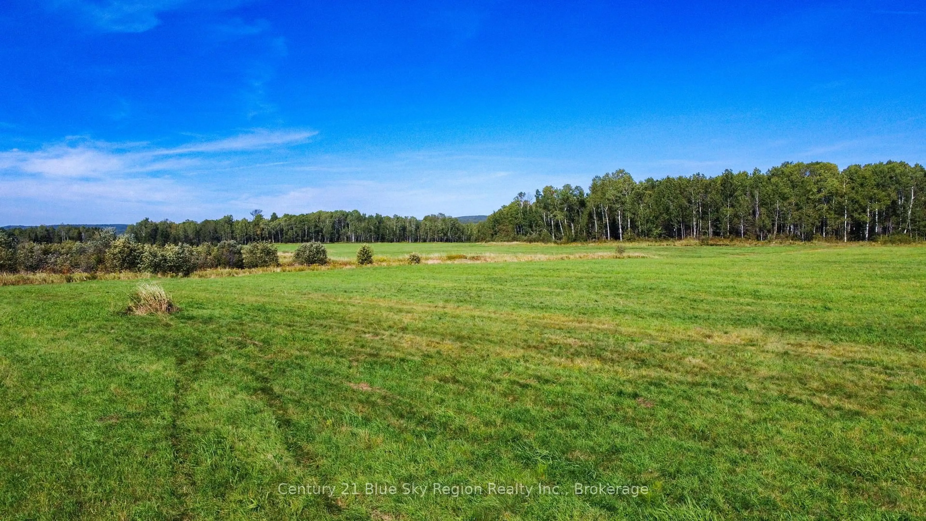 A pic from outside/outdoor area/front of a property/back of a property/a pic from drone, forest/trees view for Lot 1 Centennial Cres, East Ferris Ontario P0H 1K0