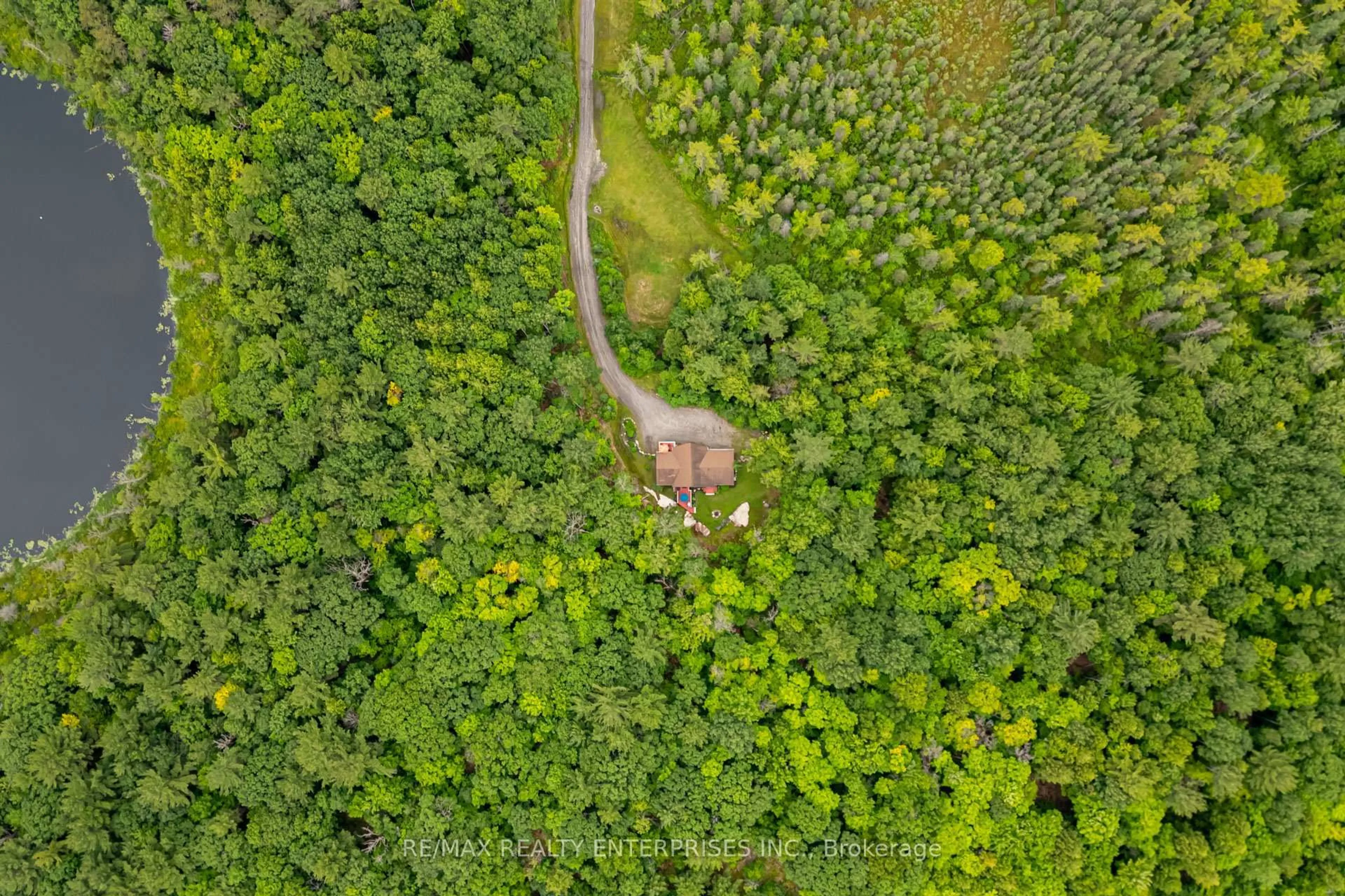 A pic from outside/outdoor area/front of a property/back of a property/a pic from drone, forest/trees view for 3142 Hwy 118 Rd, Muskoka Lakes Ontario P0B 1J0