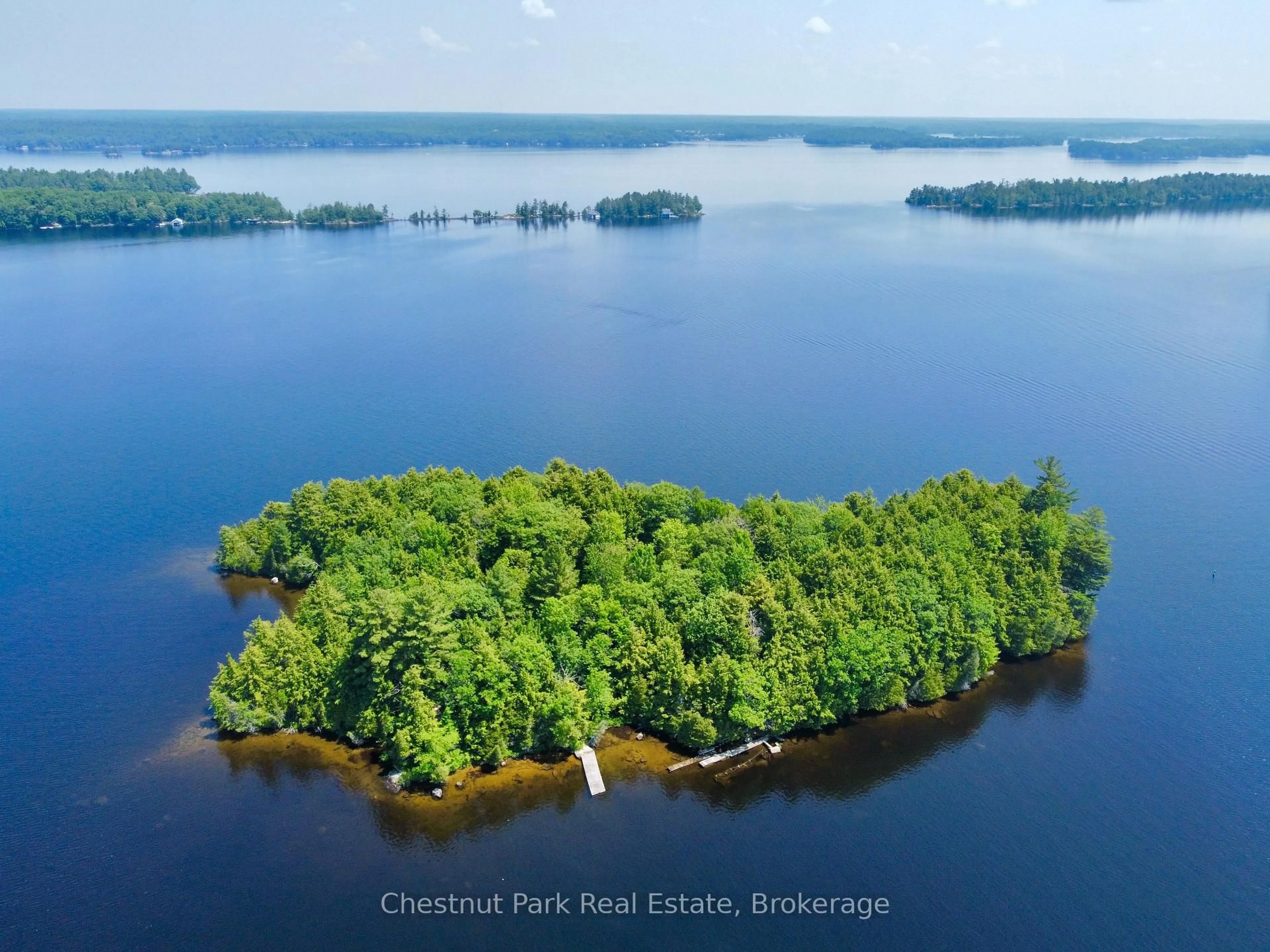 A pic from outside/outdoor area/front of a property/back of a property/a pic from drone, water/lake/river/ocean view for 1 Cedar Island N/A, Muskoka Lakes Ontario P0B 1J0