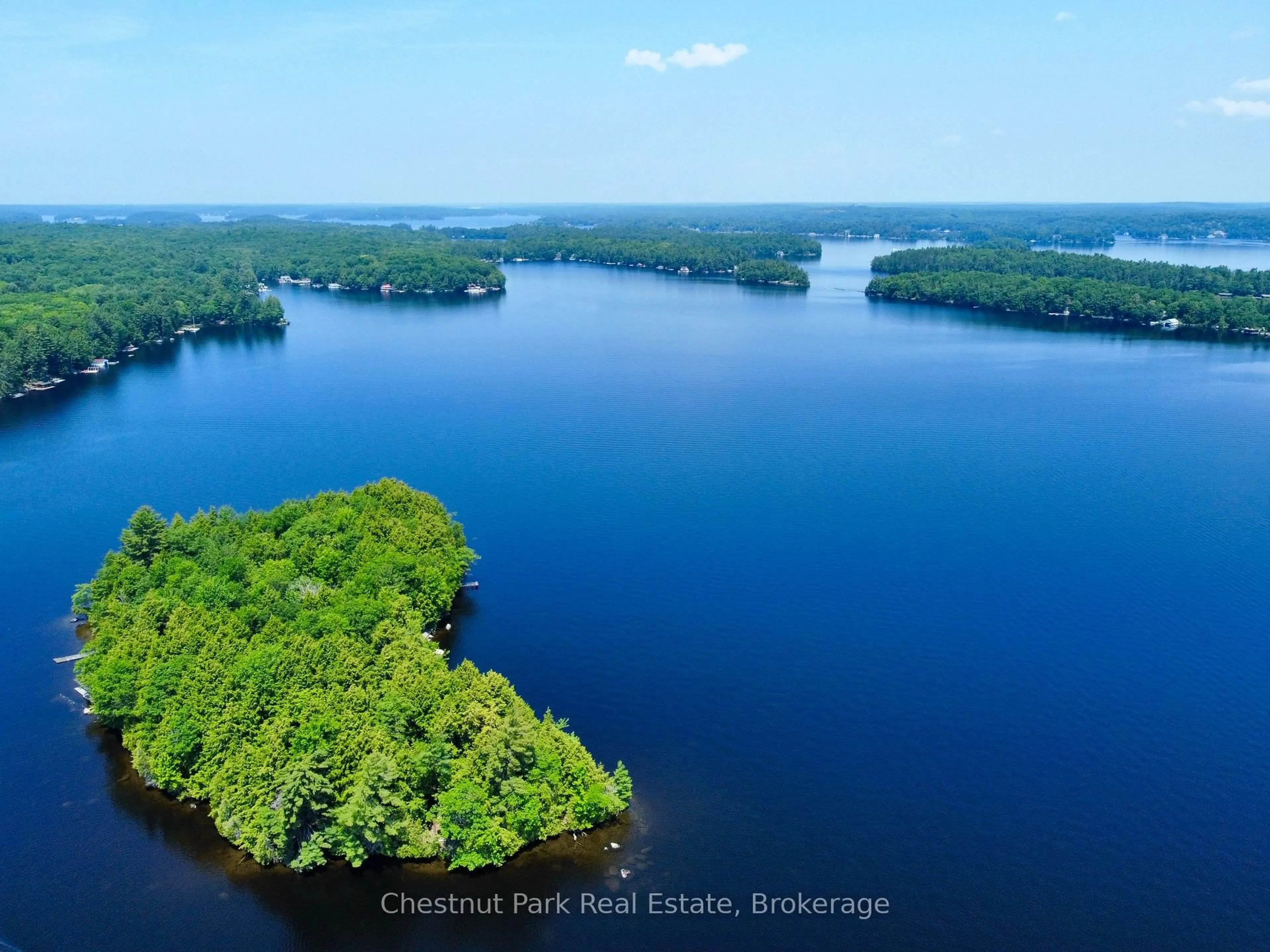 A pic from outside/outdoor area/front of a property/back of a property/a pic from drone, water/lake/river/ocean view for 1 Cedar Island N/A, Muskoka Lakes Ontario P0B 1J0