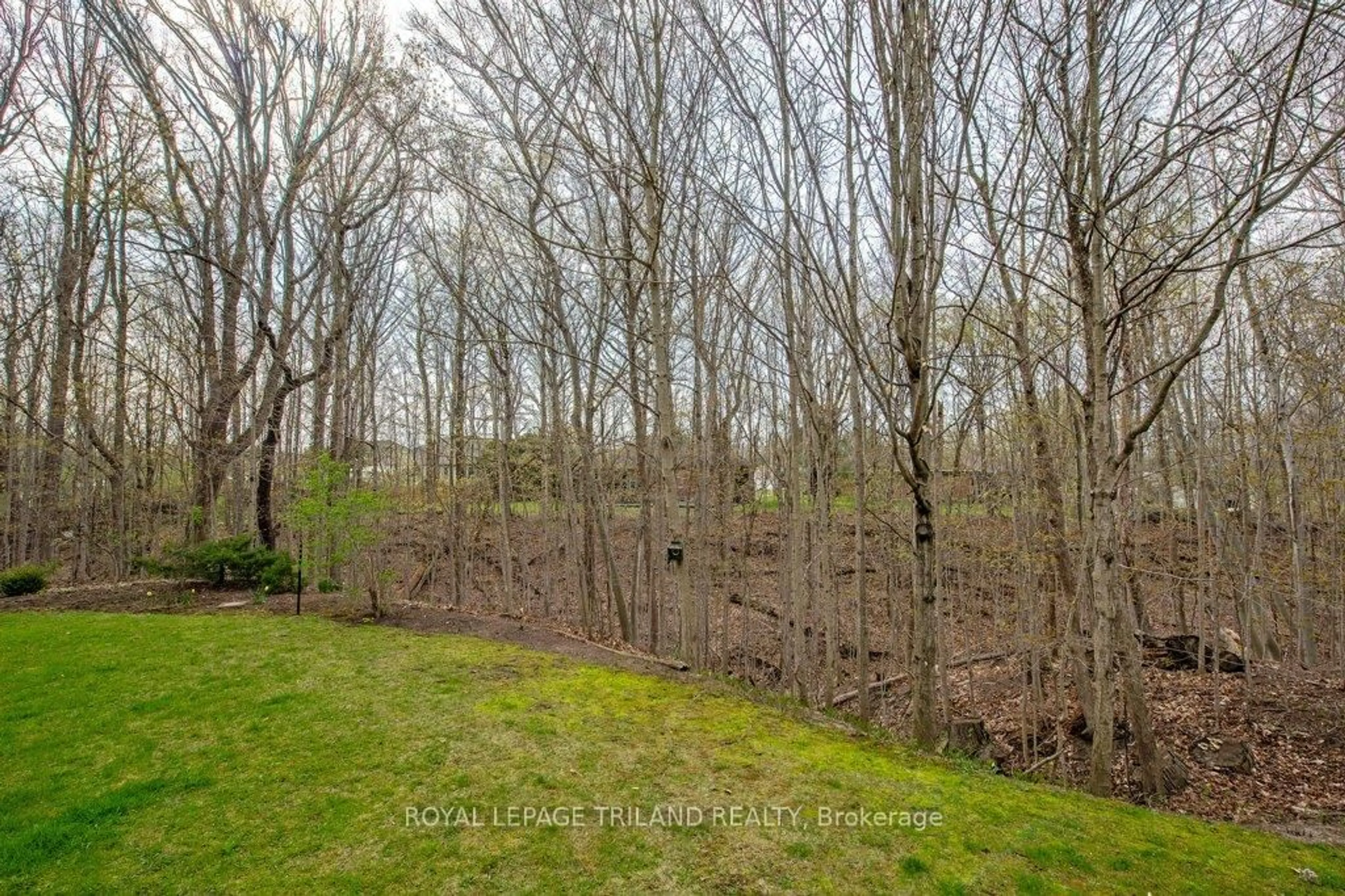 A pic from outside/outdoor area/front of a property/back of a property/a pic from drone, forest/trees view for 87 Donker Dr #1, St. Thomas Ontario N5P 4L2