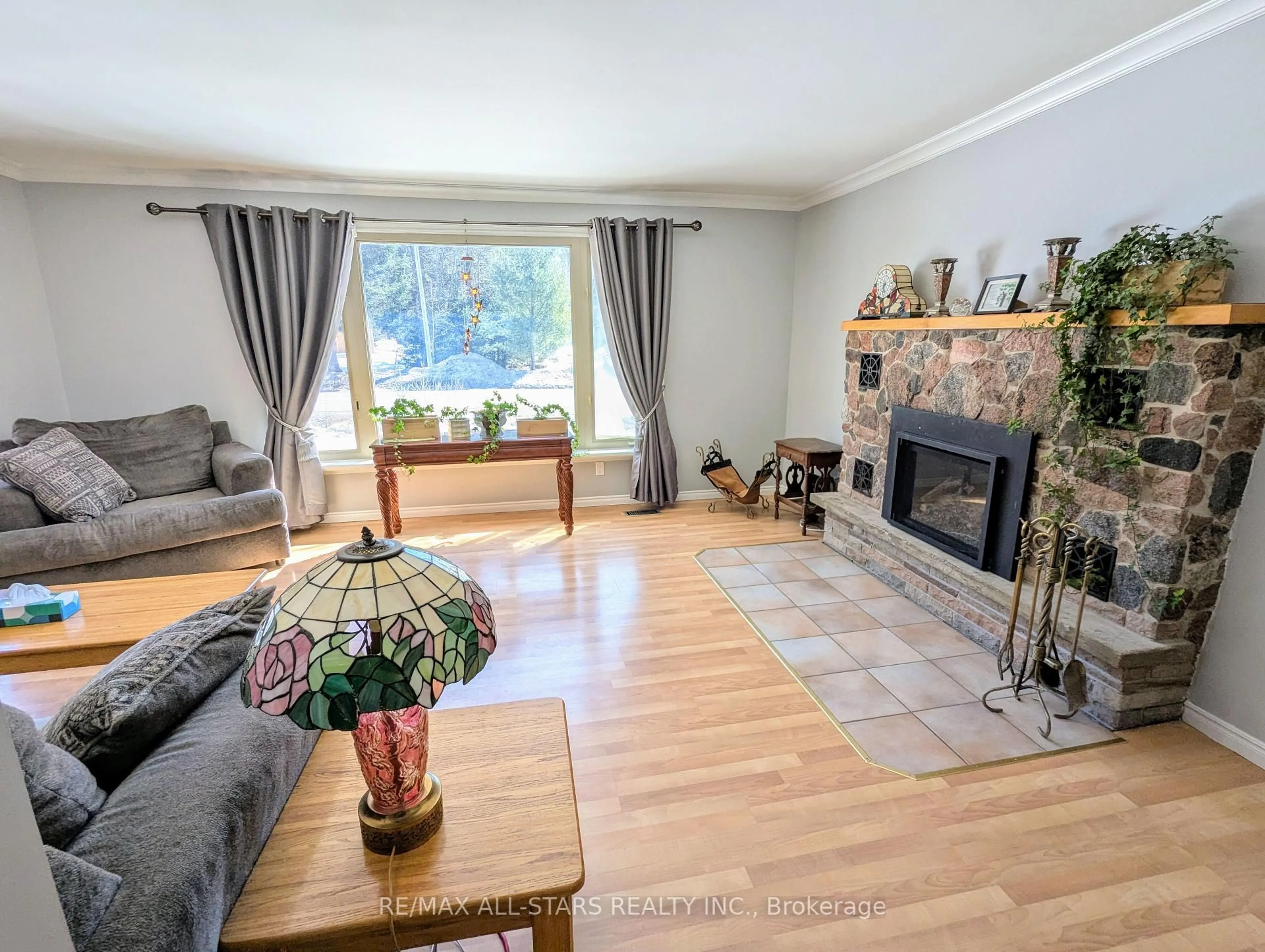 Living room with furniture, wood/laminate floor for 161 McFadden Rd, North Kawartha Ontario K0L 1A0