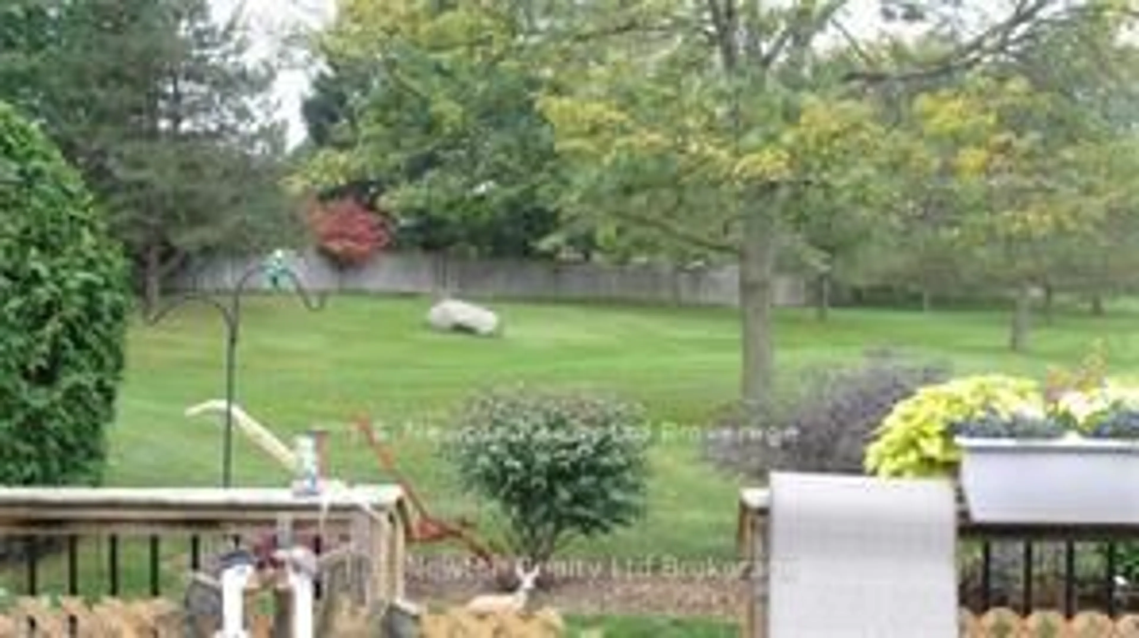 Blurry image for 5 Dereham Dr, Tillsonburg Ontario N4G 5L8