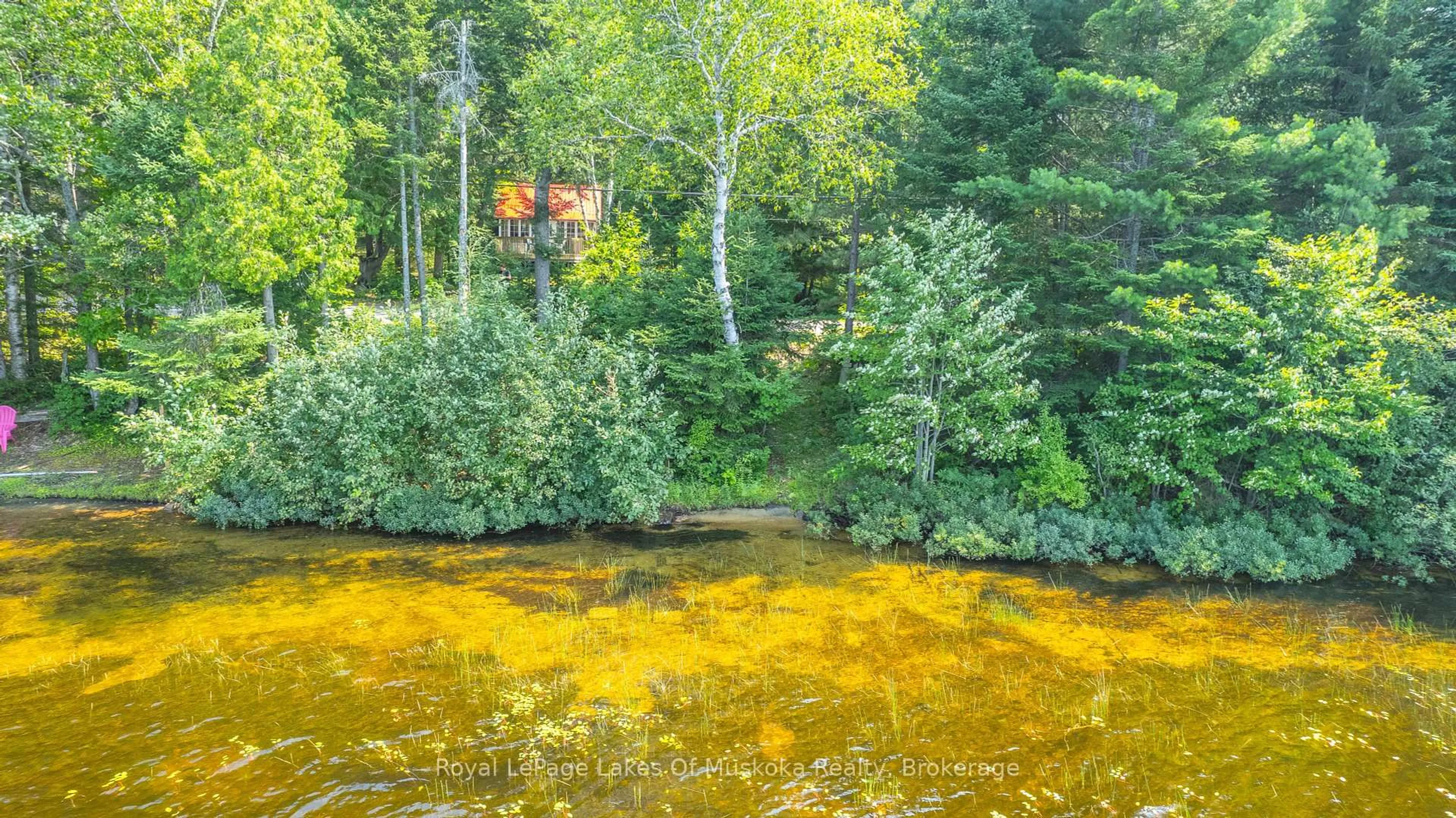 Blurry image for 1257 PAINT LAKE Rd, Lake of Bays Ontario P0A 1E0