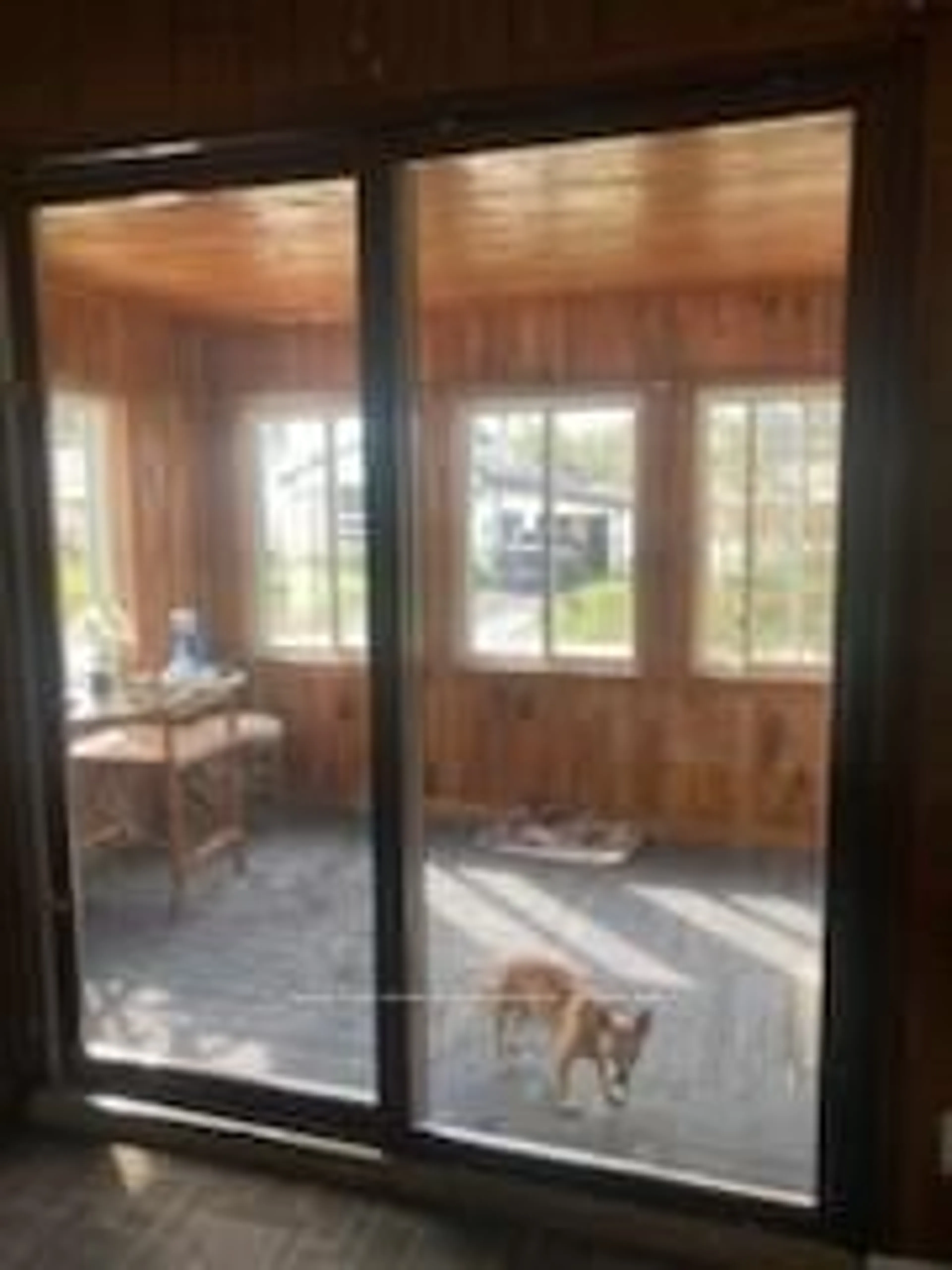 A pic of a room for 45 Larch St, Highlands East Ontario K0L 1M0